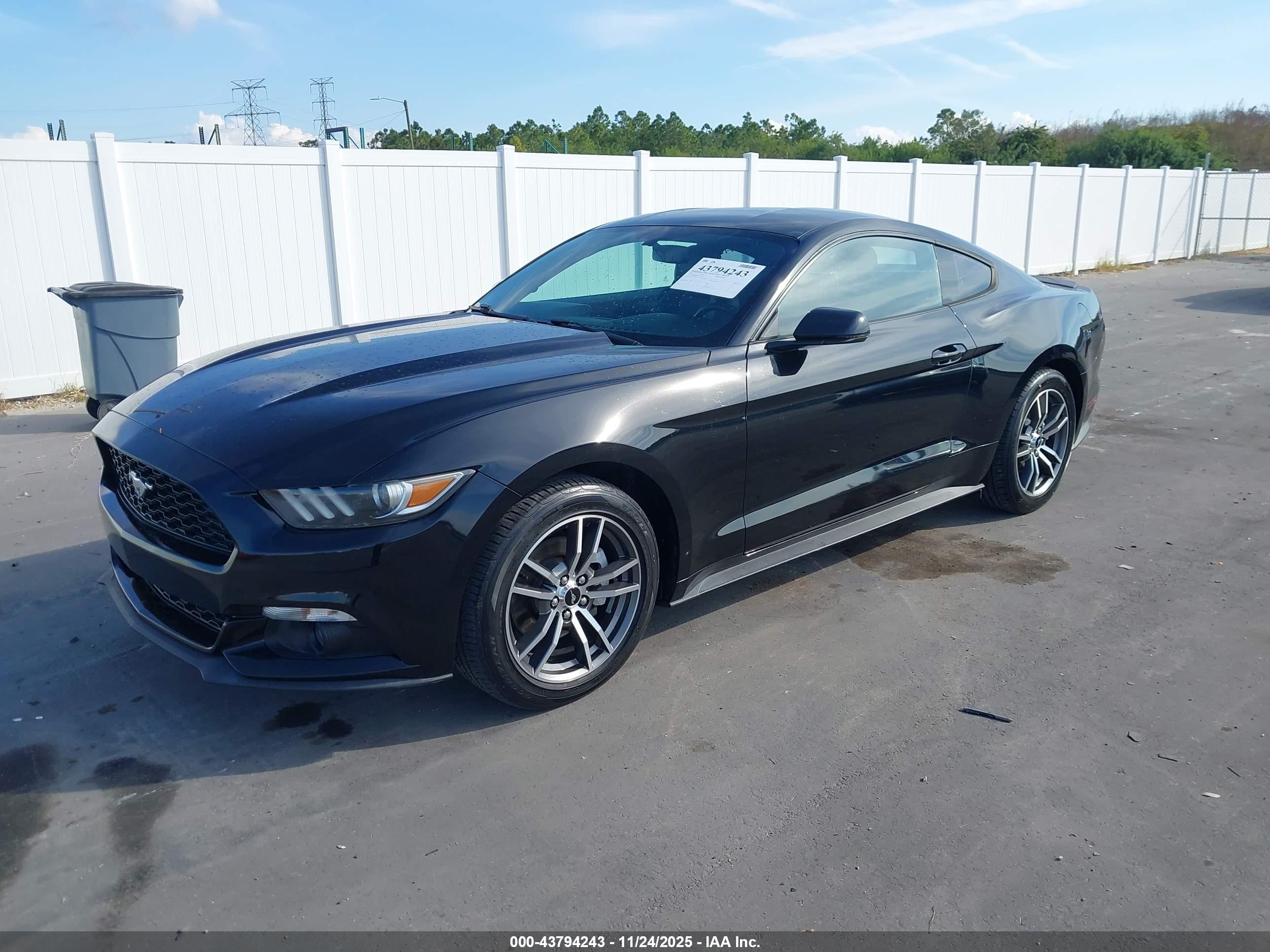 FORD MUSTANG image 2