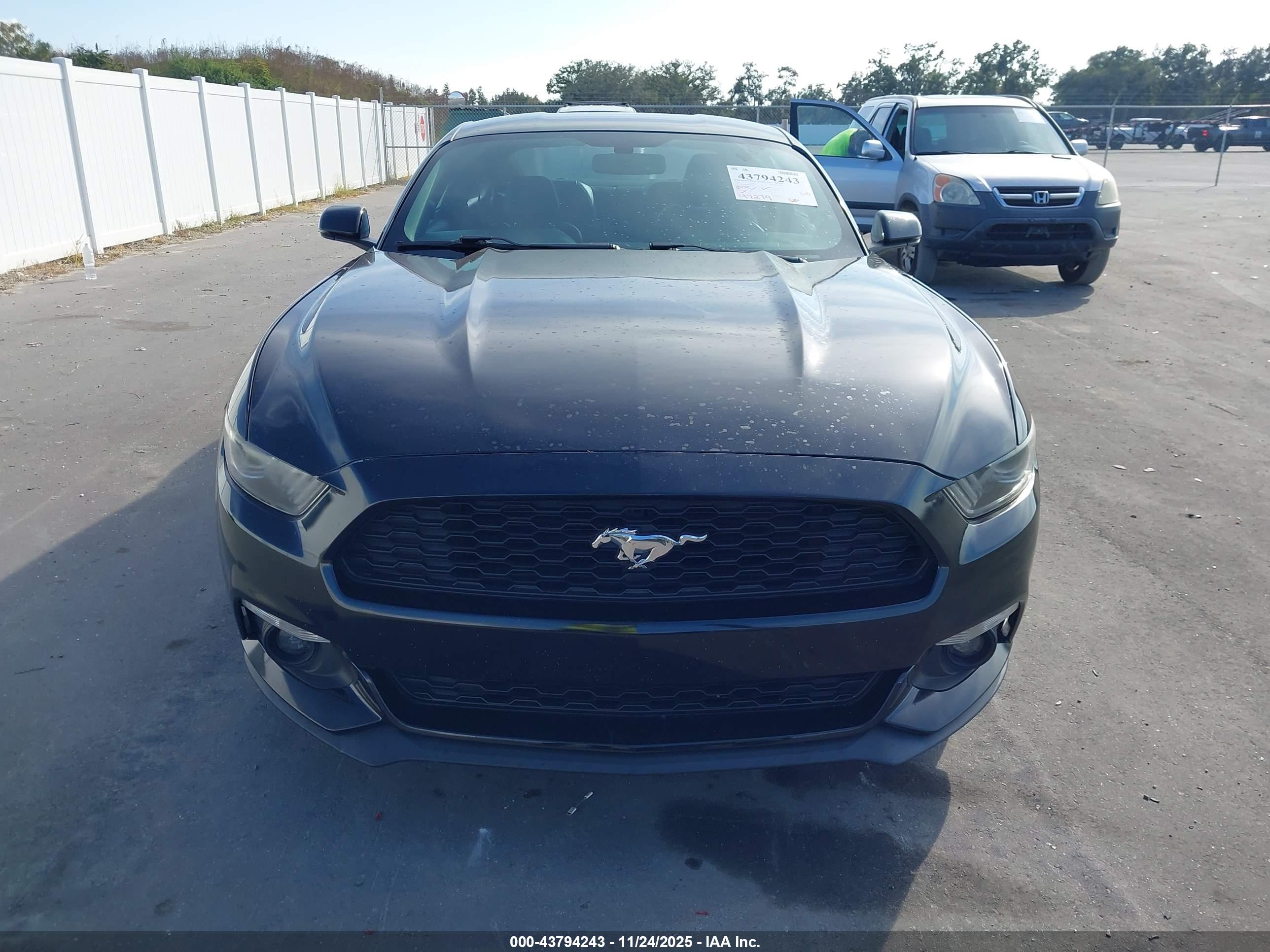 FORD MUSTANG image 6