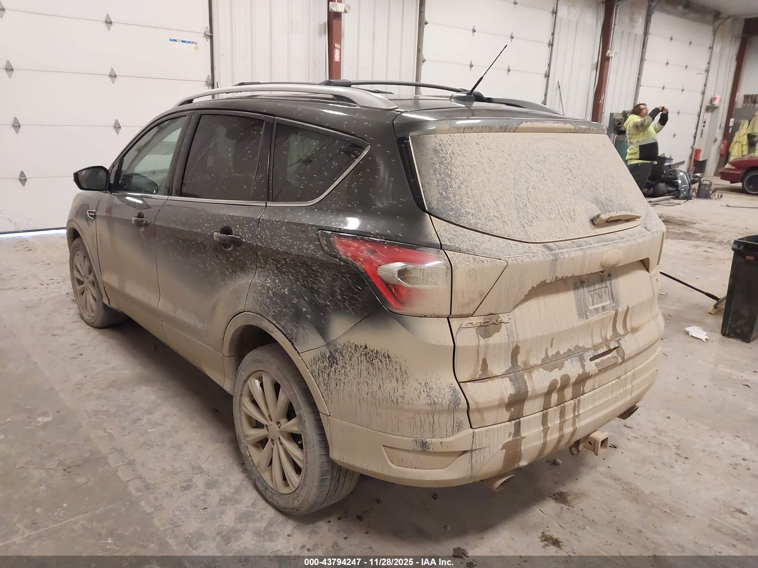FORD ESCAPE image 3