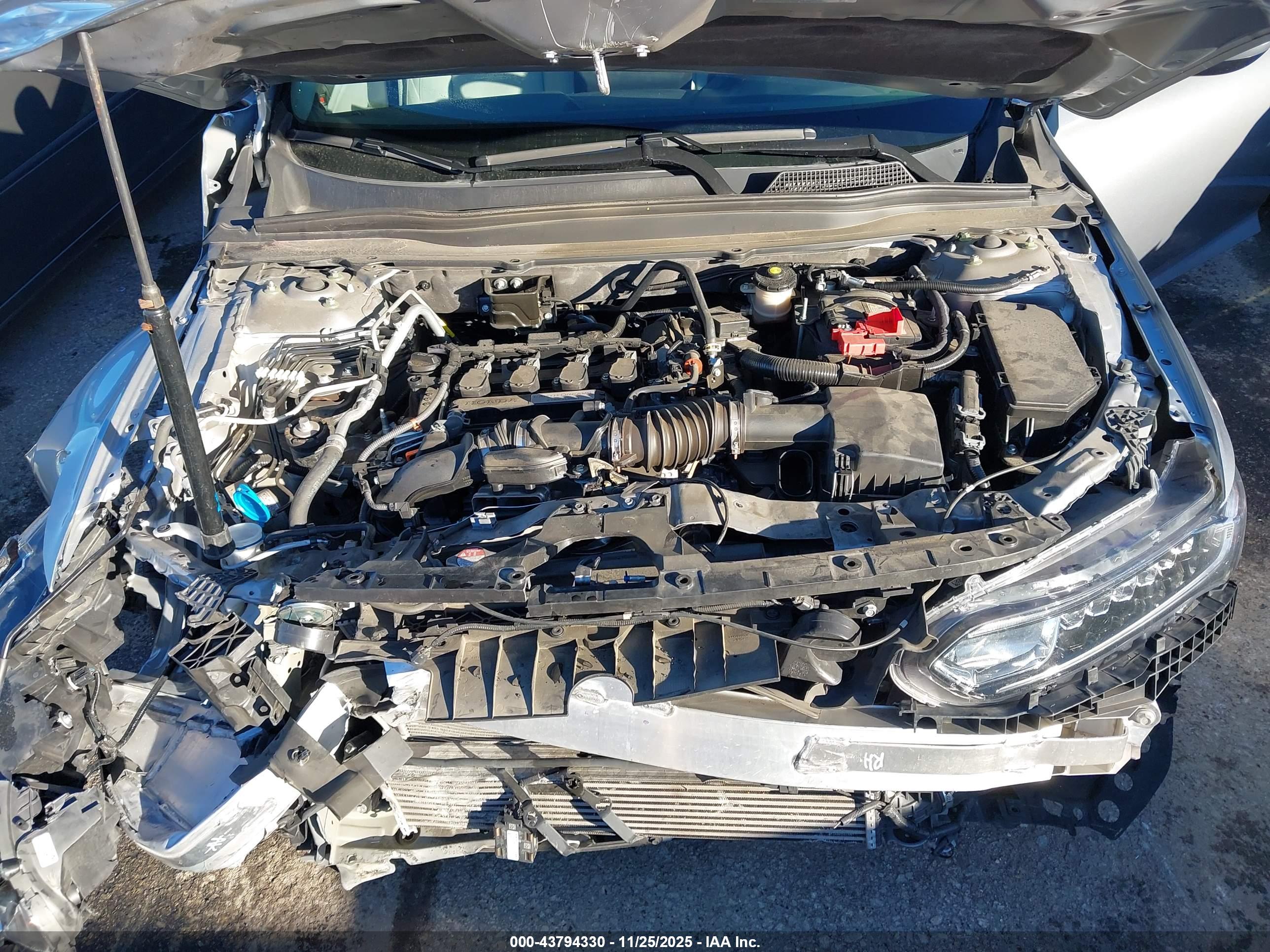 HONDA ACCORD image 10