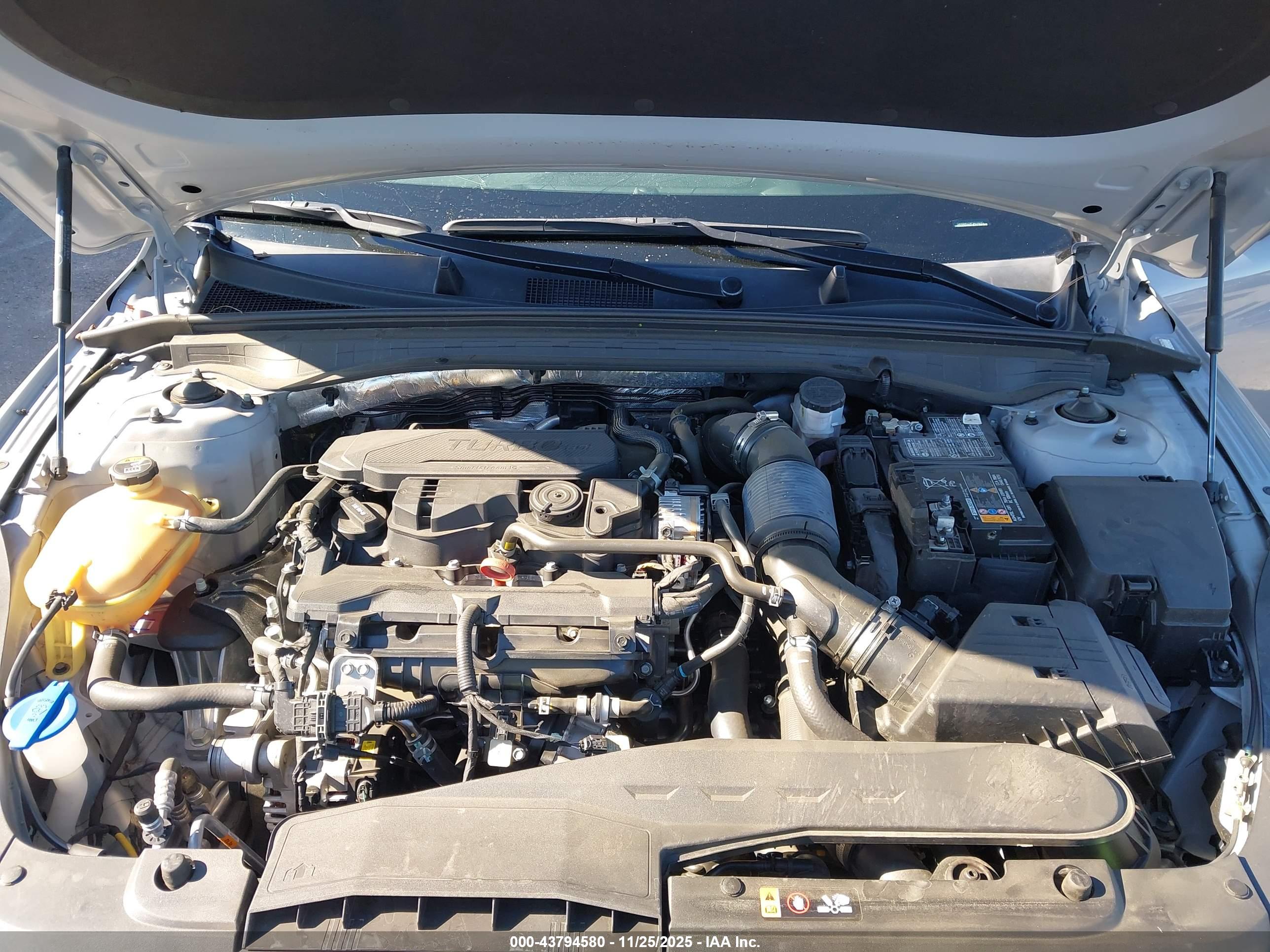 KIA K5 image 10