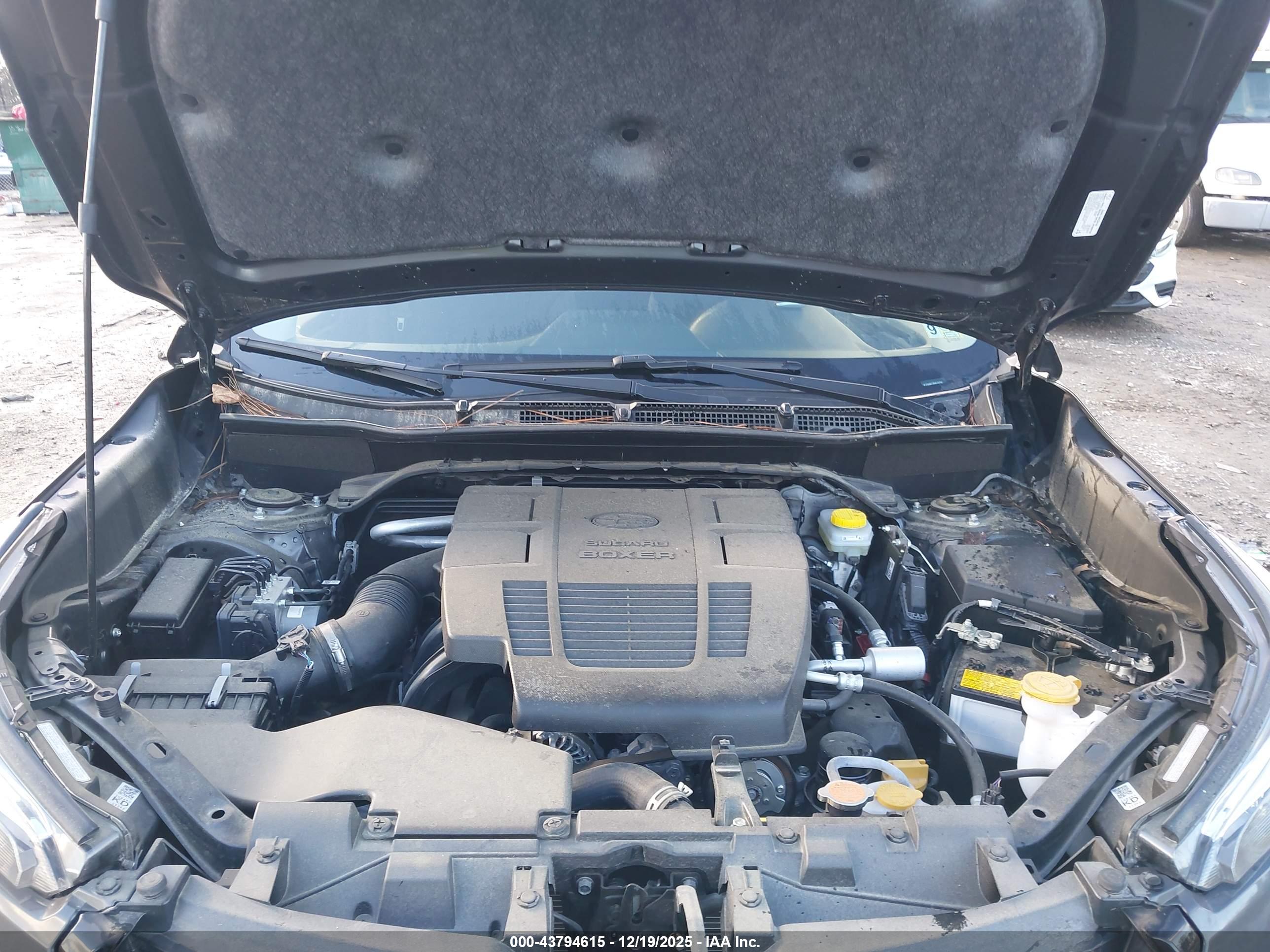 SUBARU FORESTER image 10