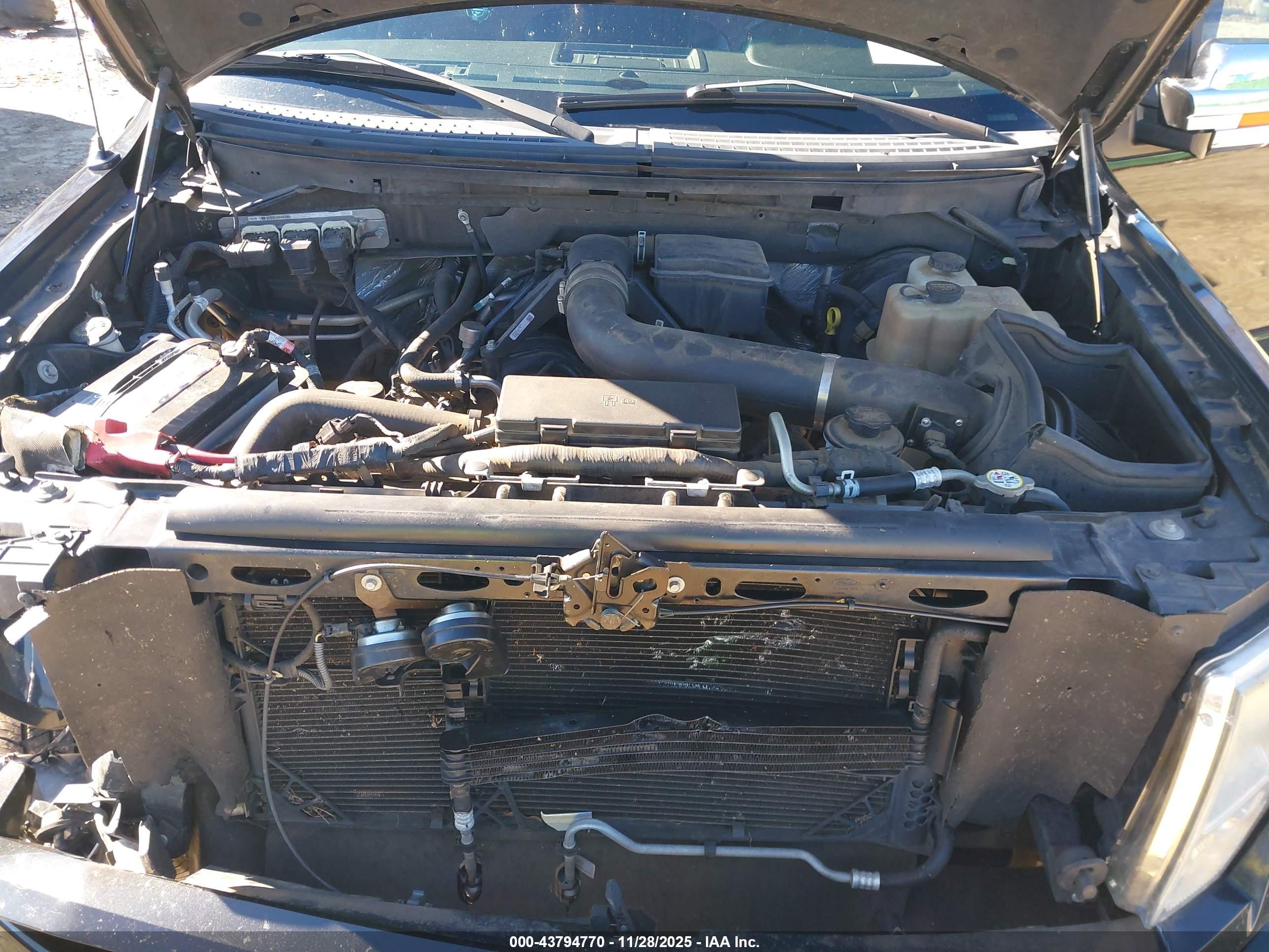 FORD F-150 image 10