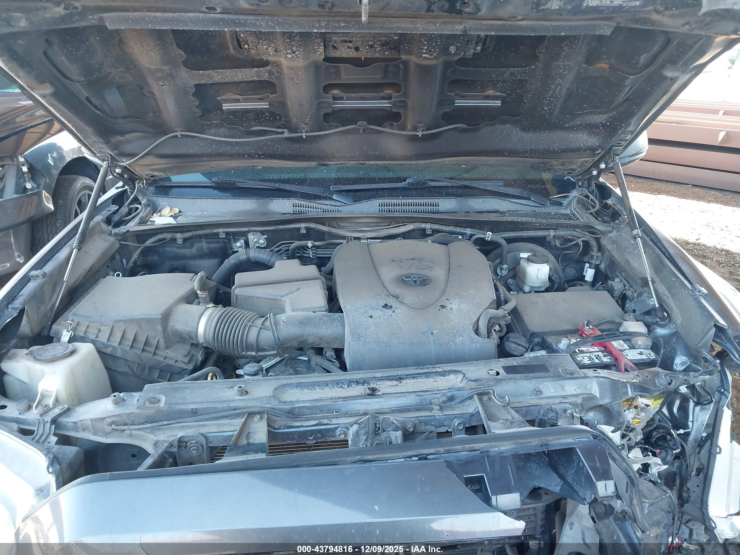 TOYOTA TACOMA image 10