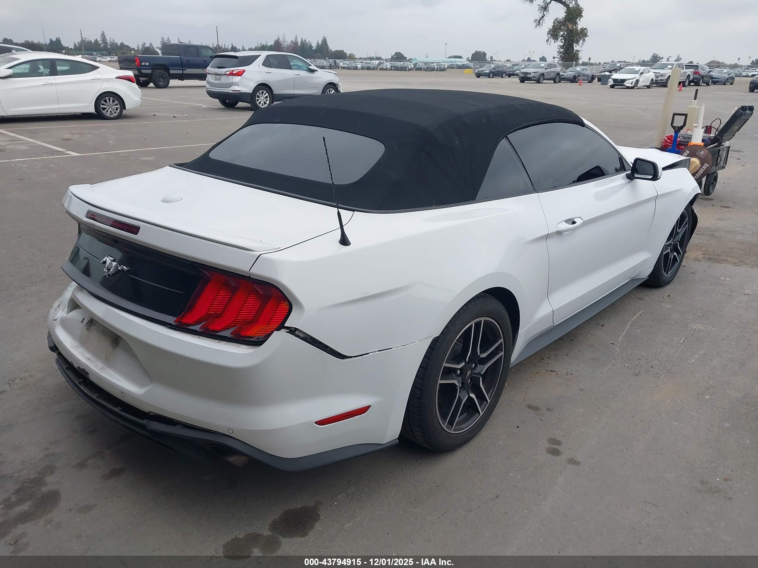 FORD MUSTANG image 4