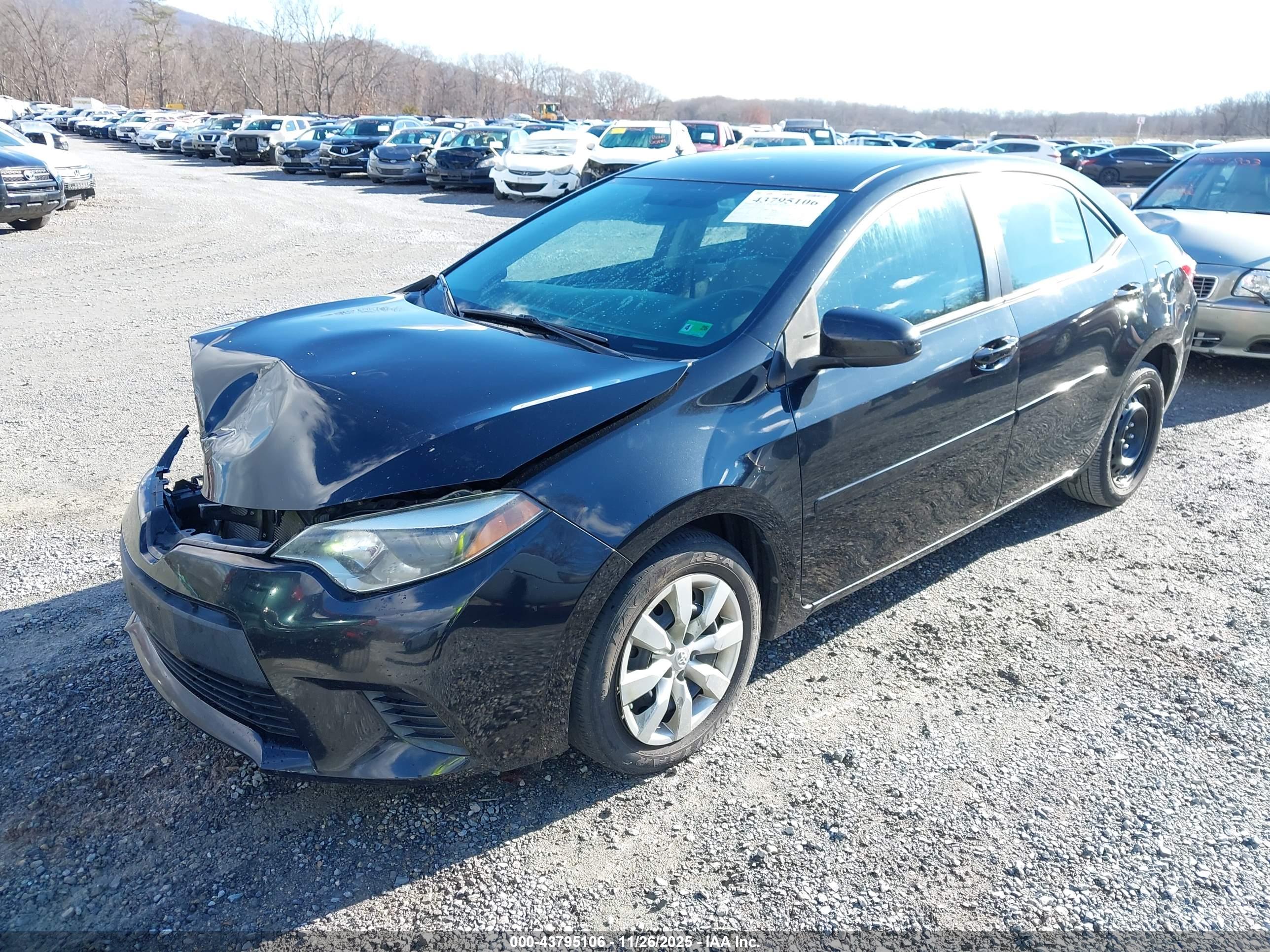 TOYOTA COROLLA image 2