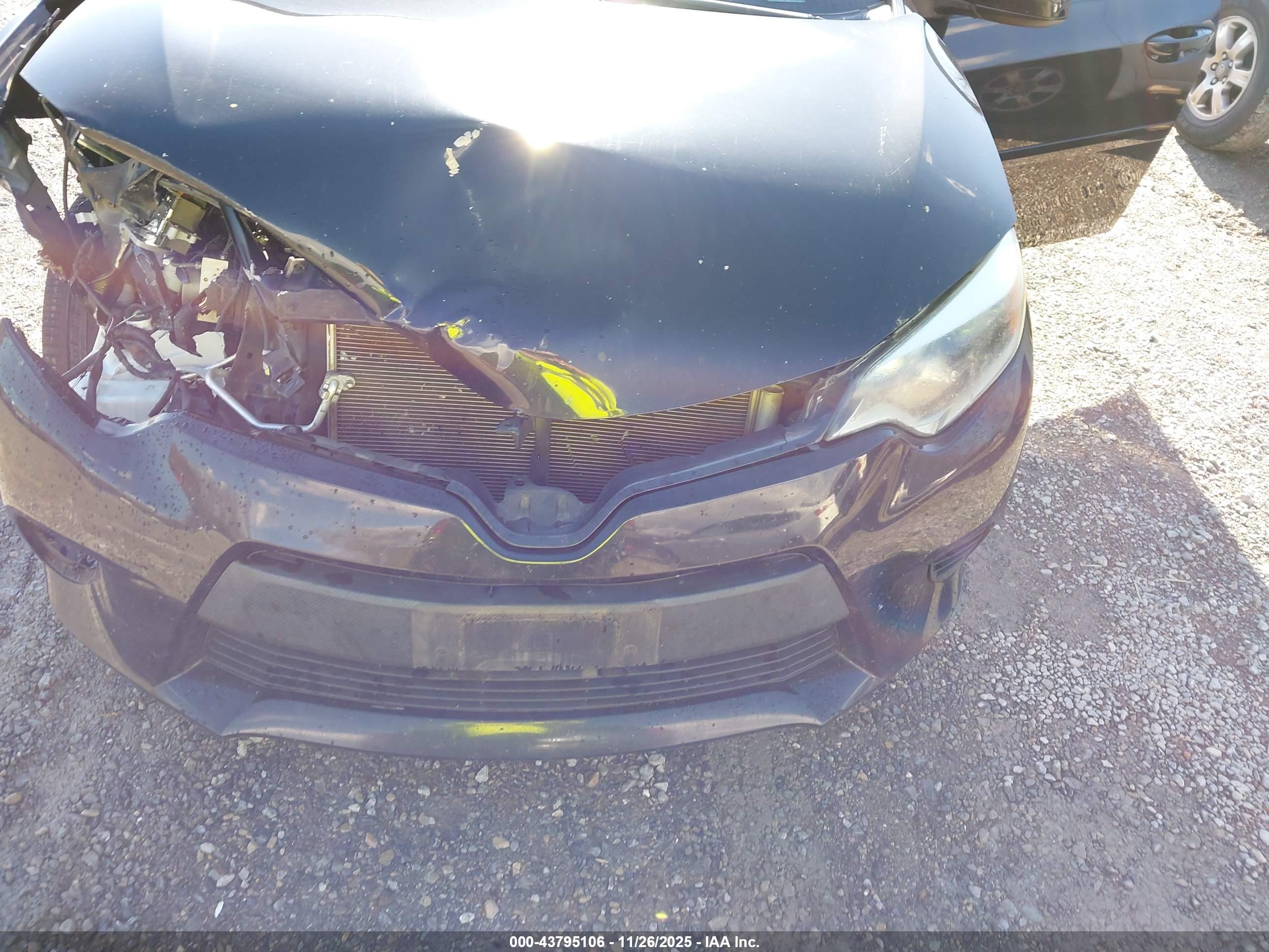 TOYOTA COROLLA image 6