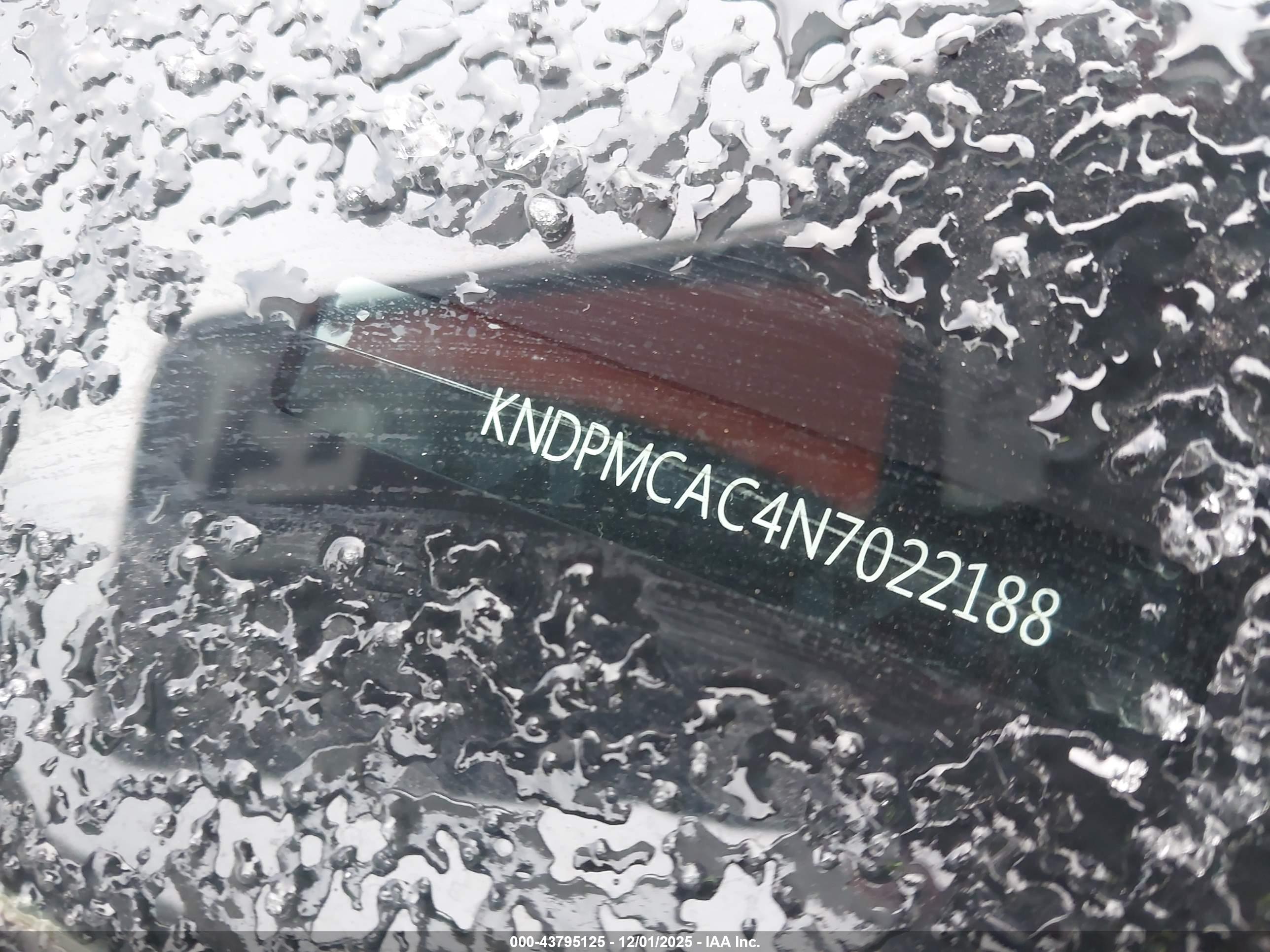 KIA SPORTAGE image 9