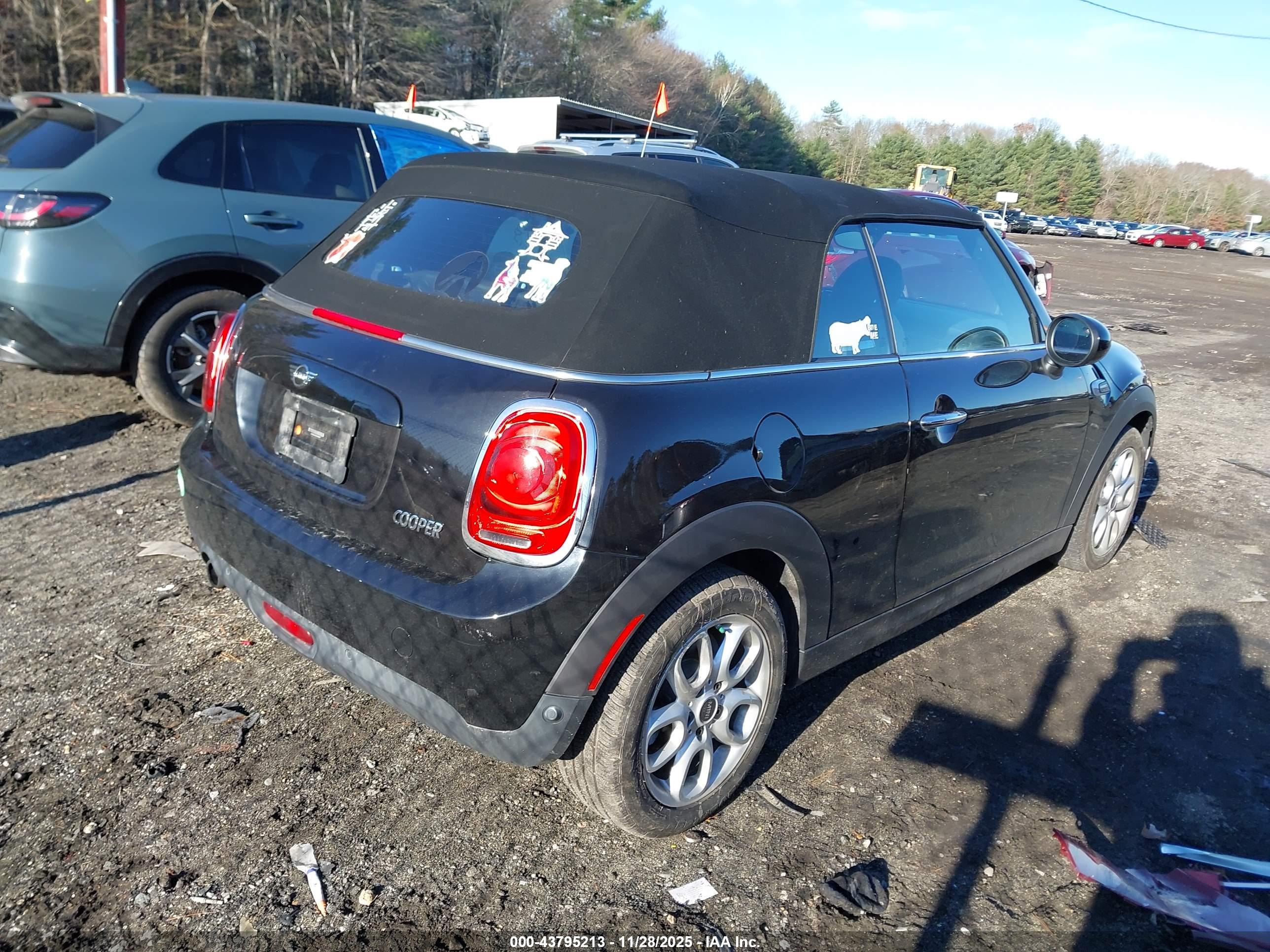 MINI CONVERTIBLE image 4
