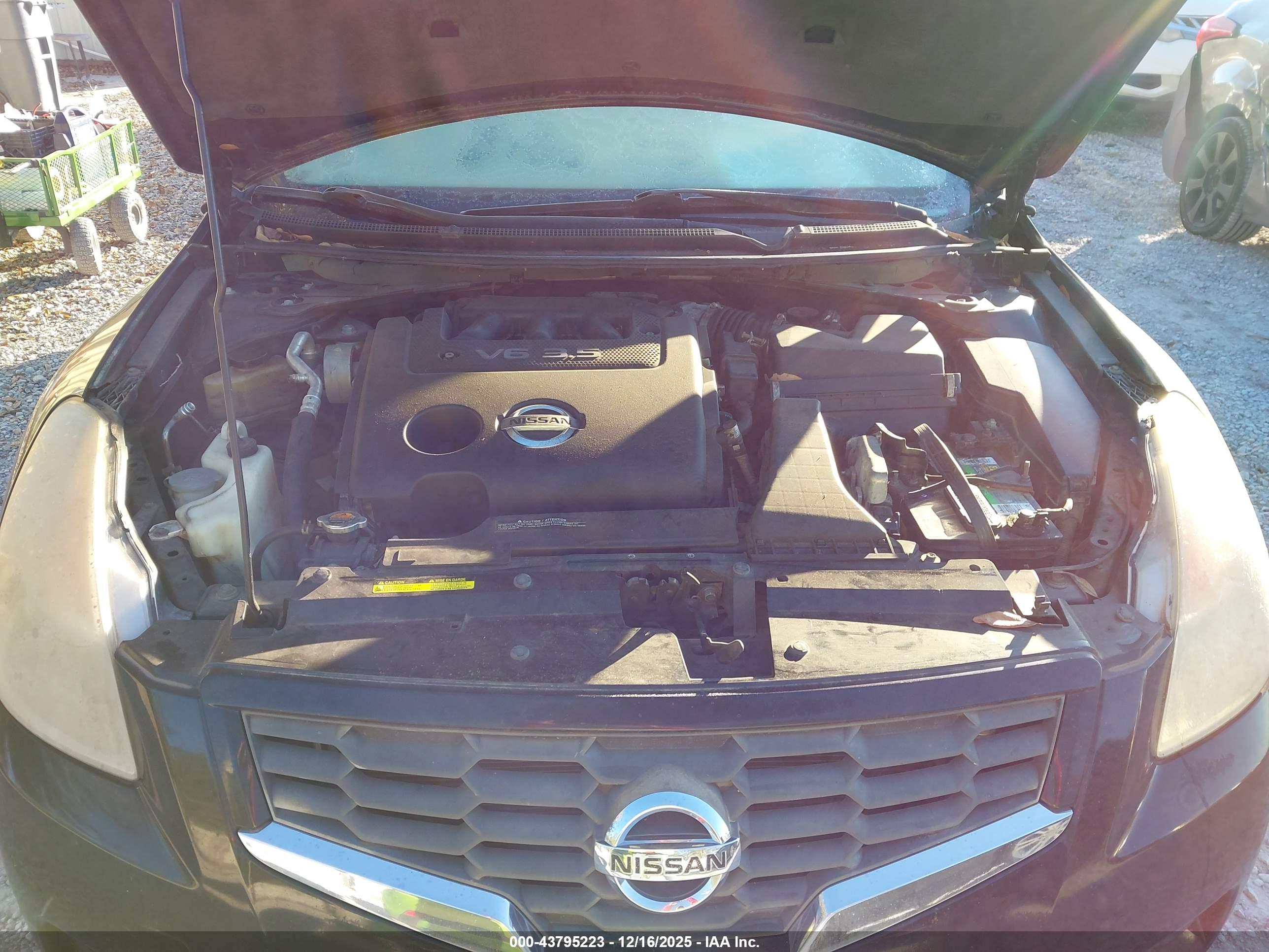 NISSAN ALTIMA image 10