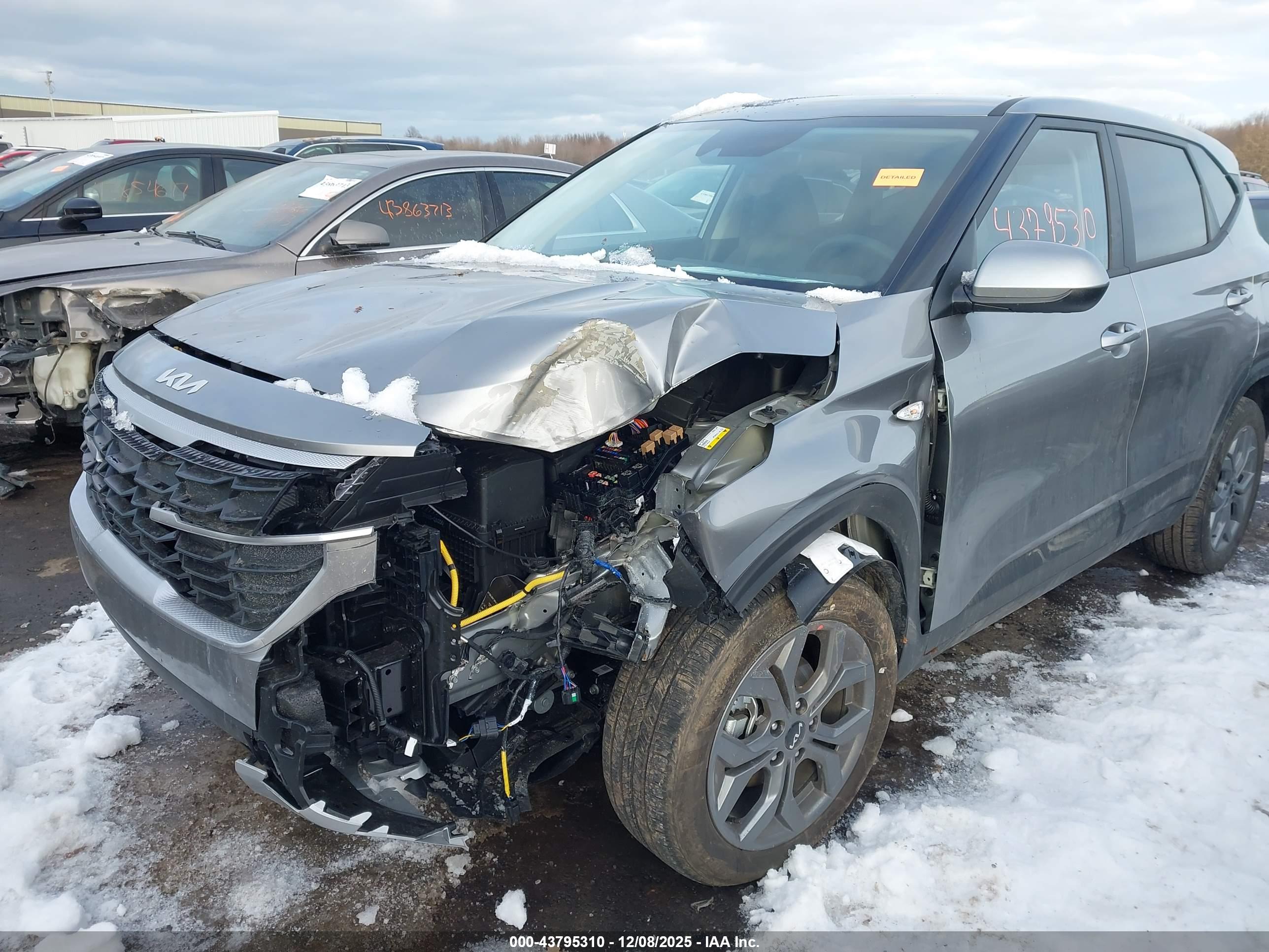 KIA SELTOS image 6