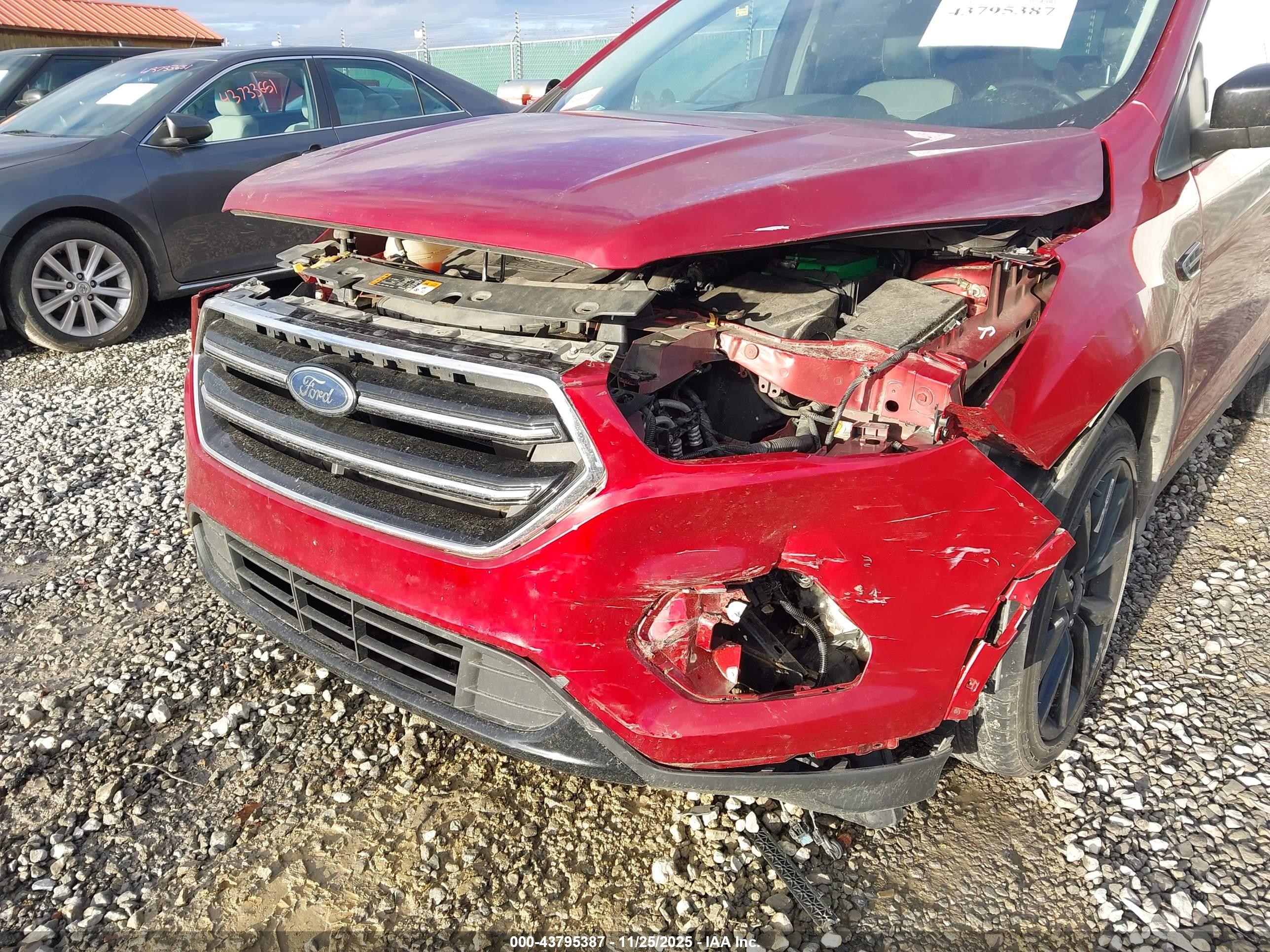 FORD ESCAPE image 6