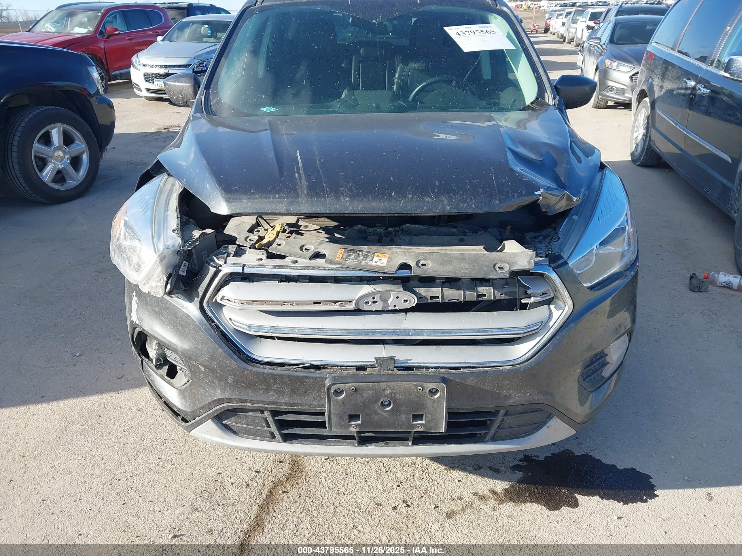 FORD ESCAPE image 6