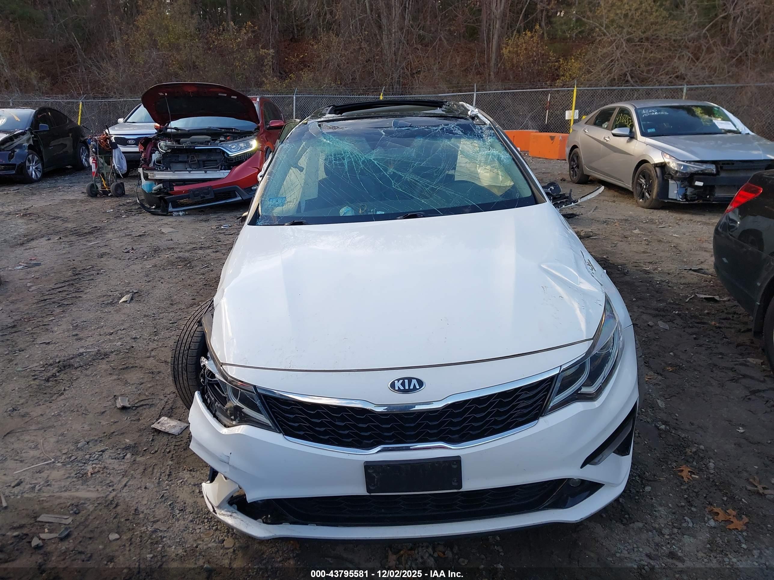 KIA OPTIMA image 6