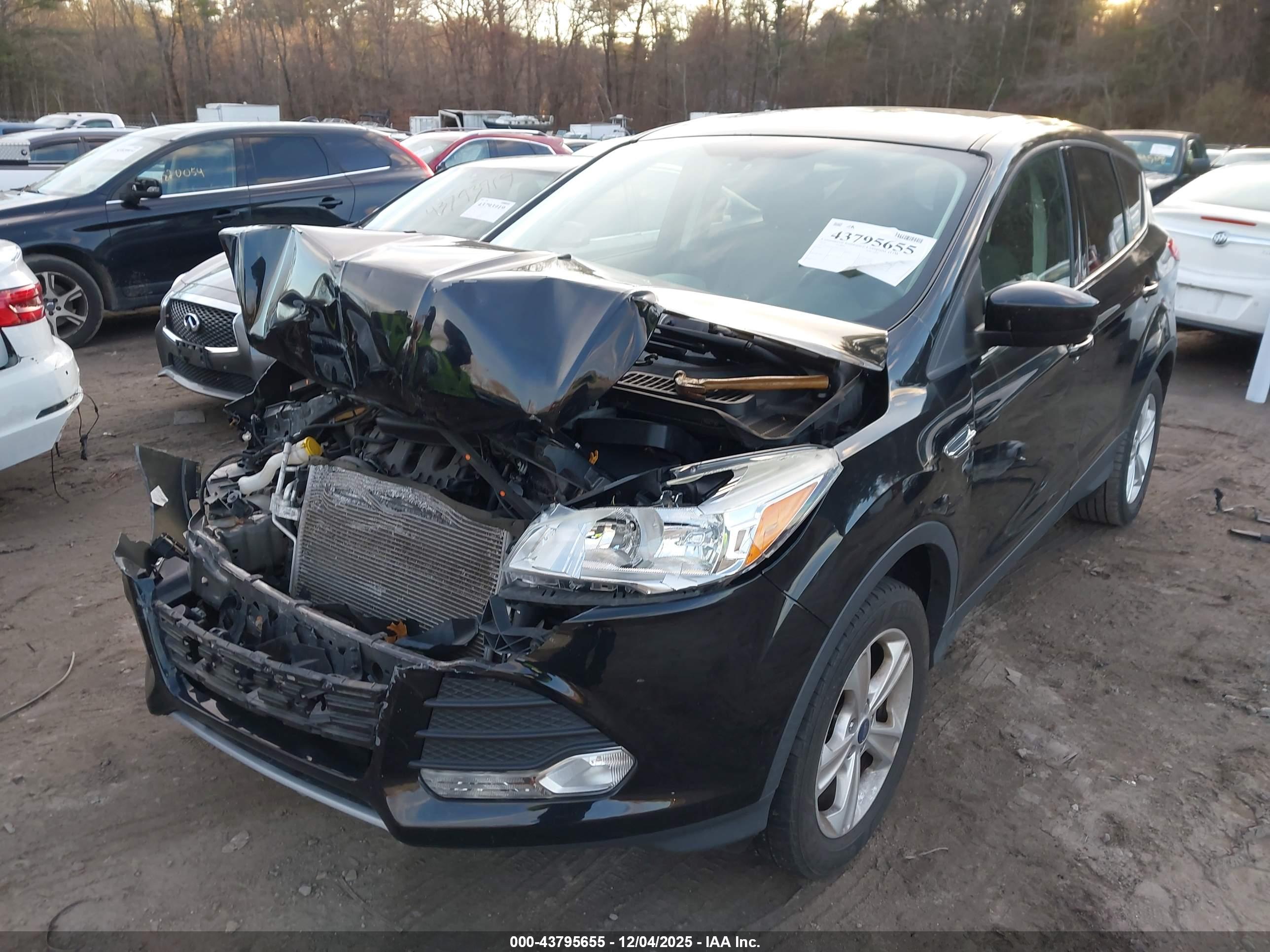 FORD ESCAPE image 2
