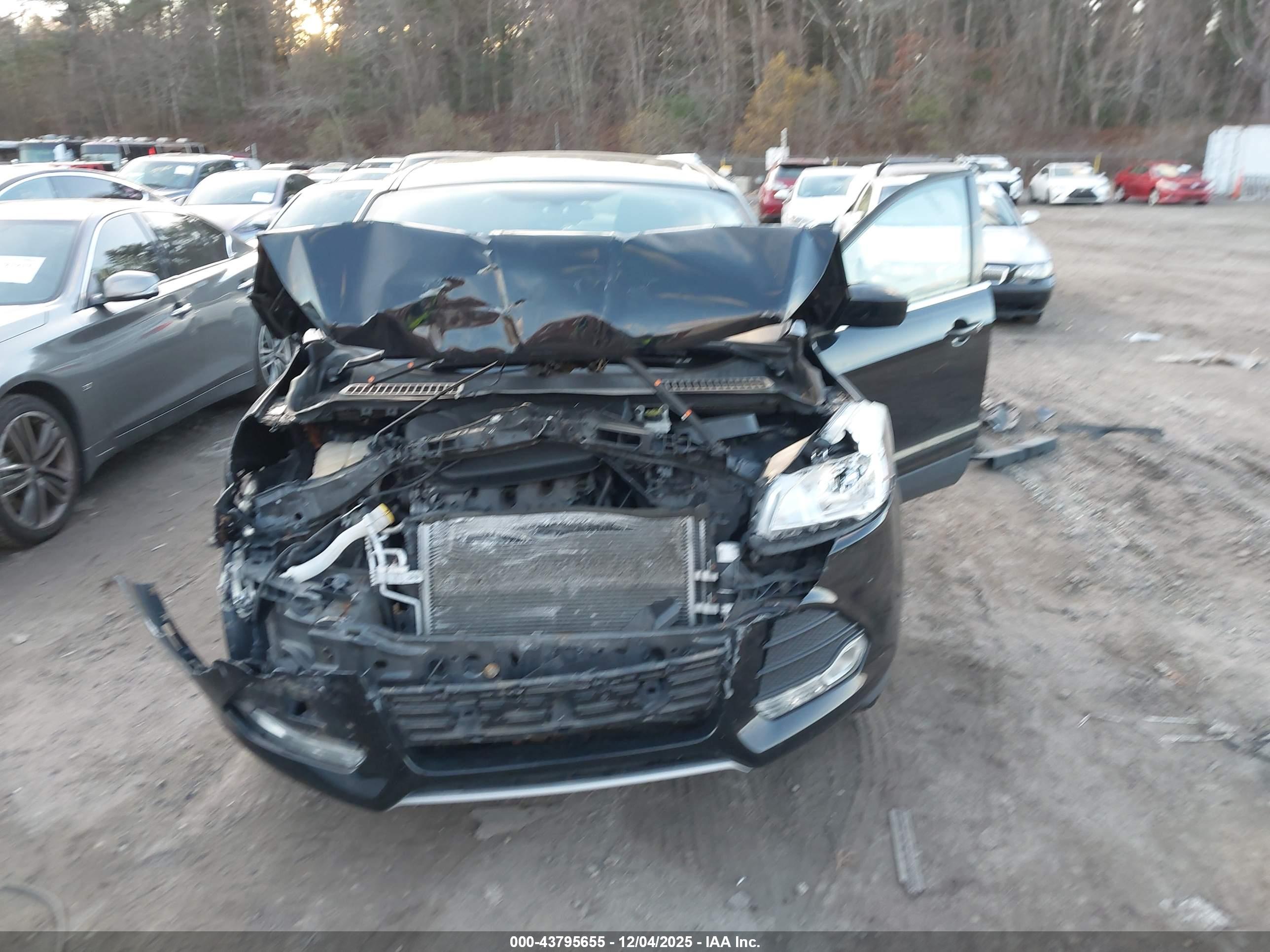 FORD ESCAPE image 6