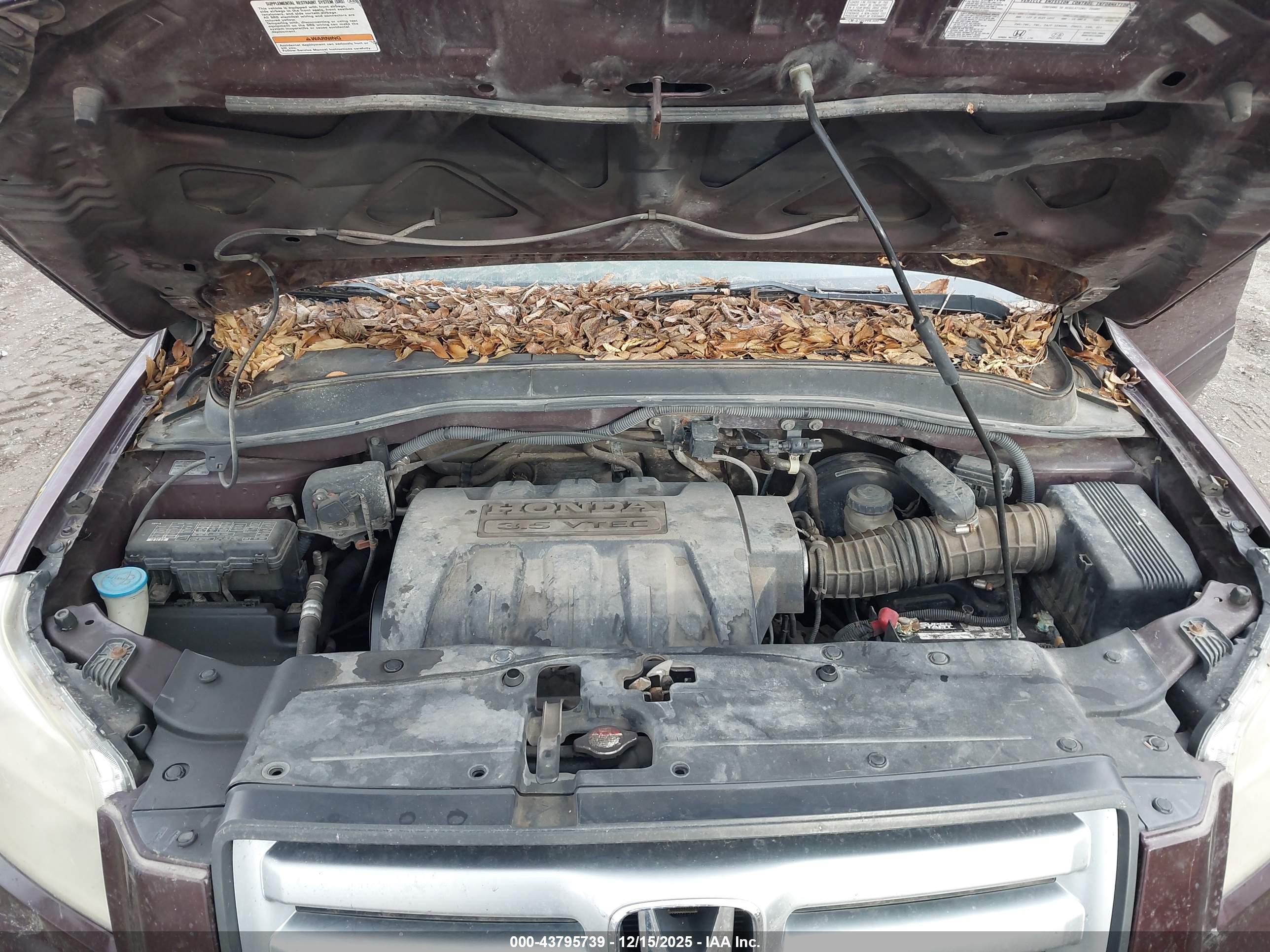 HONDA PILOT image 10