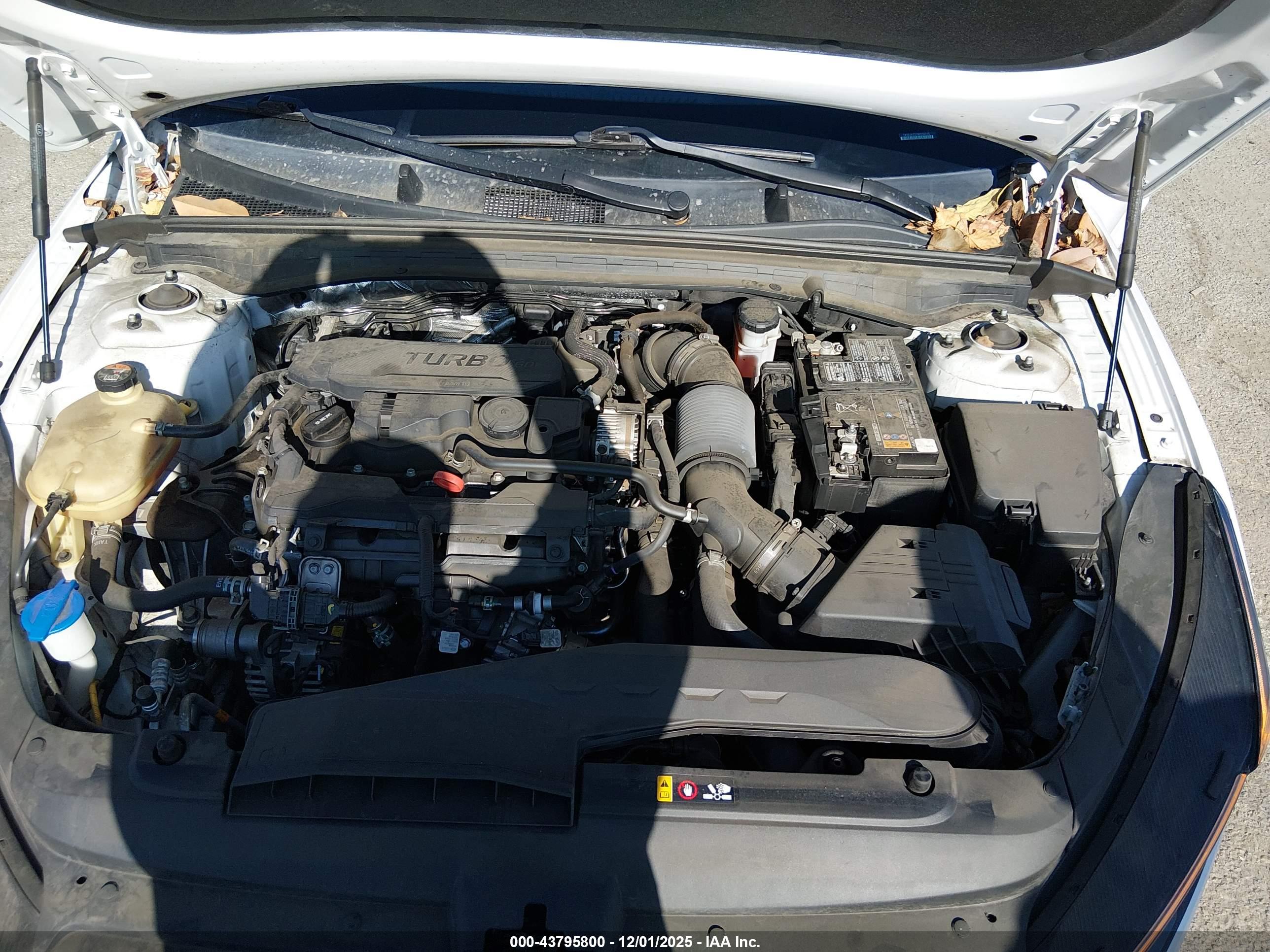 KIA K5 image 10