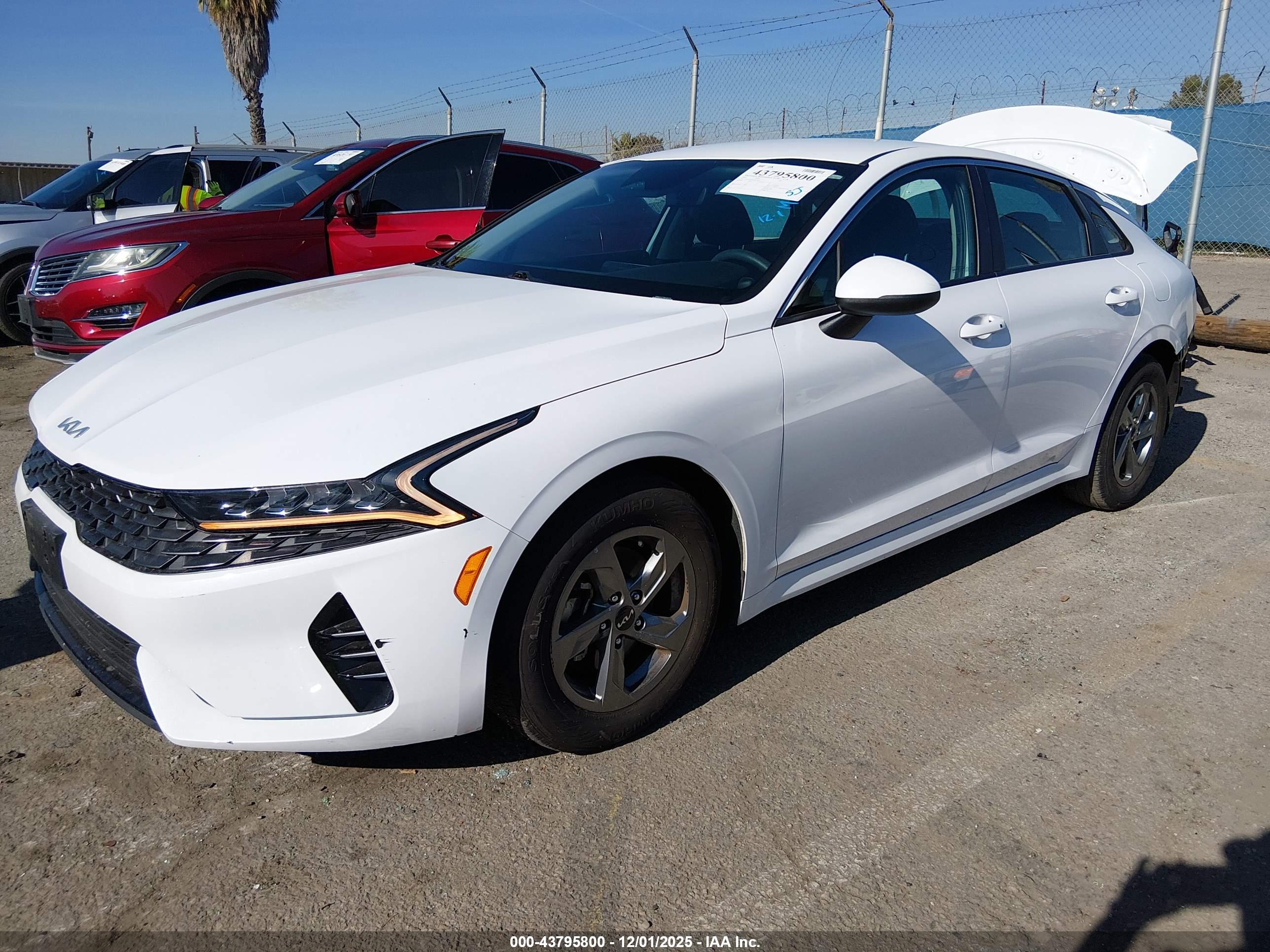 KIA K5 image 2