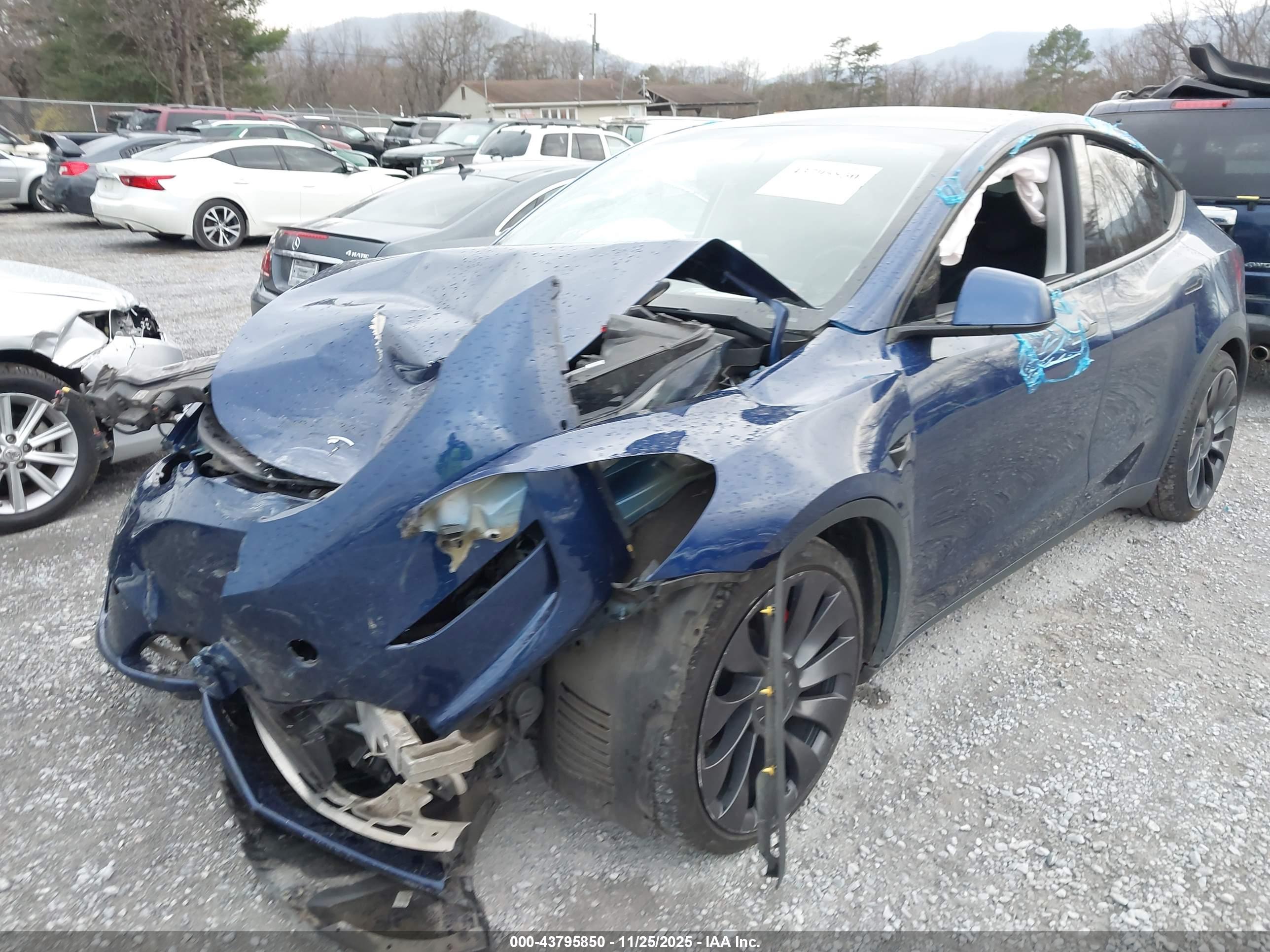 TESLA MODEL image 6