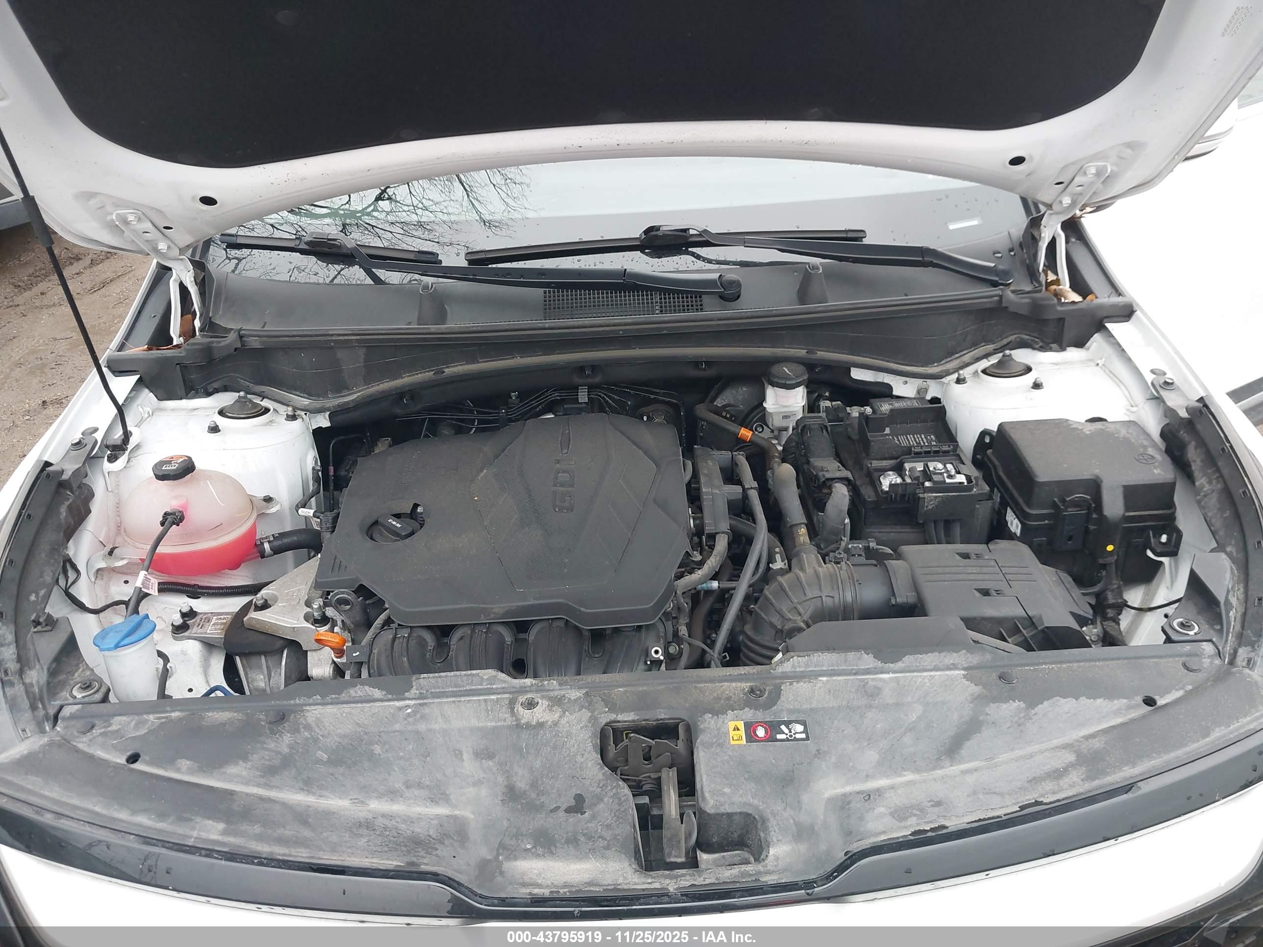 KIA SPORTAGE image 10