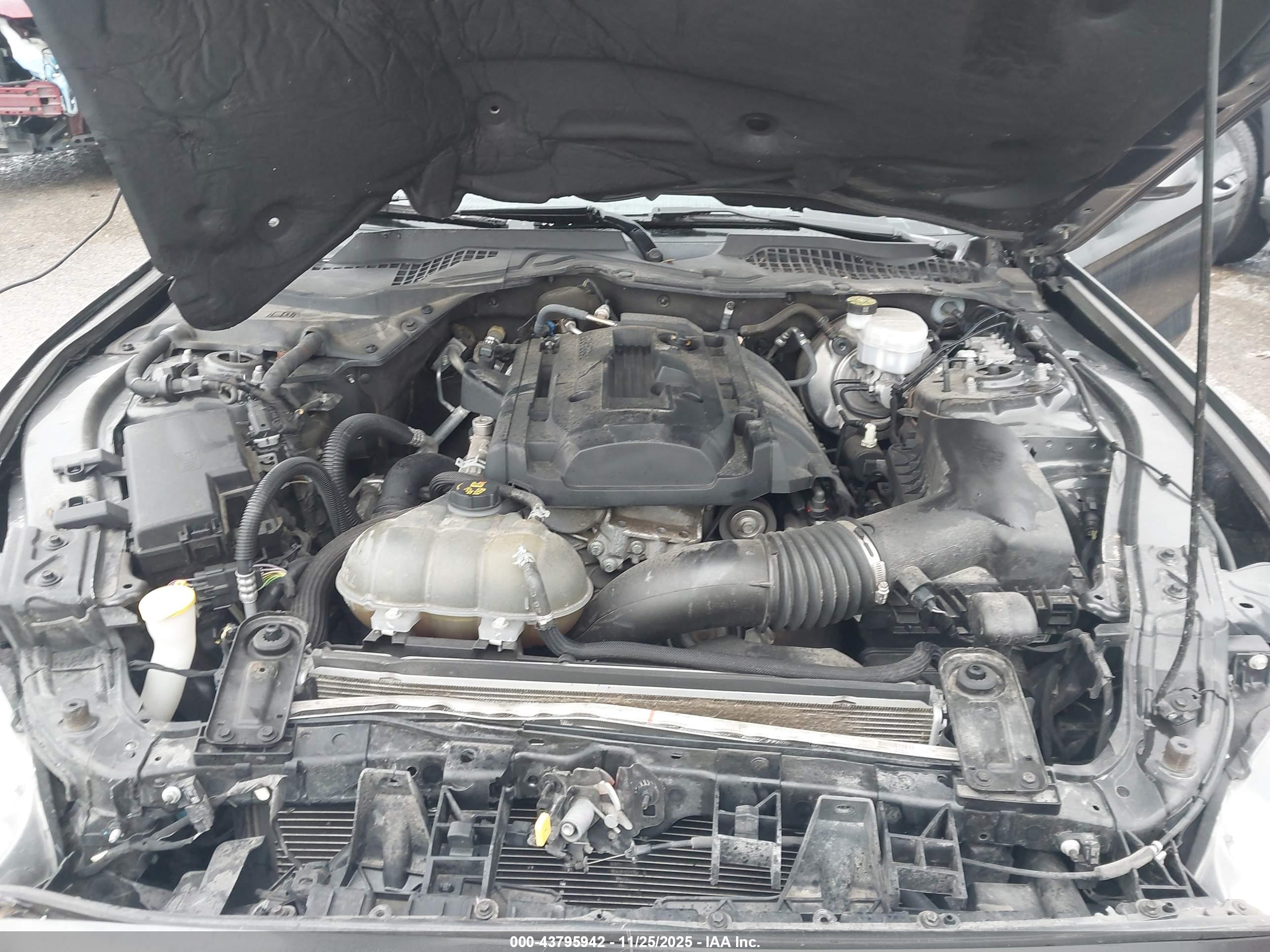 FORD MUSTANG image 10
