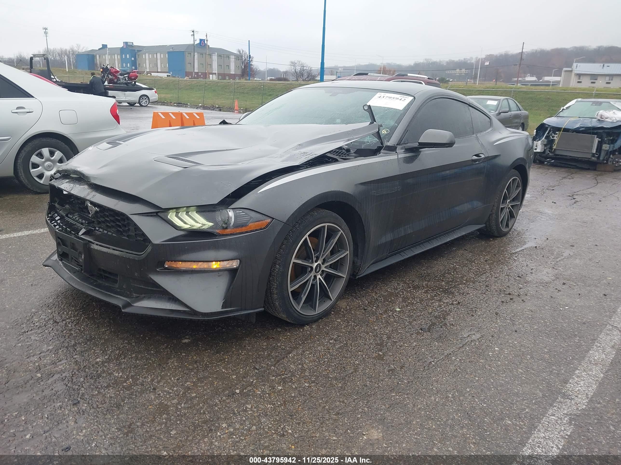 FORD MUSTANG image 2