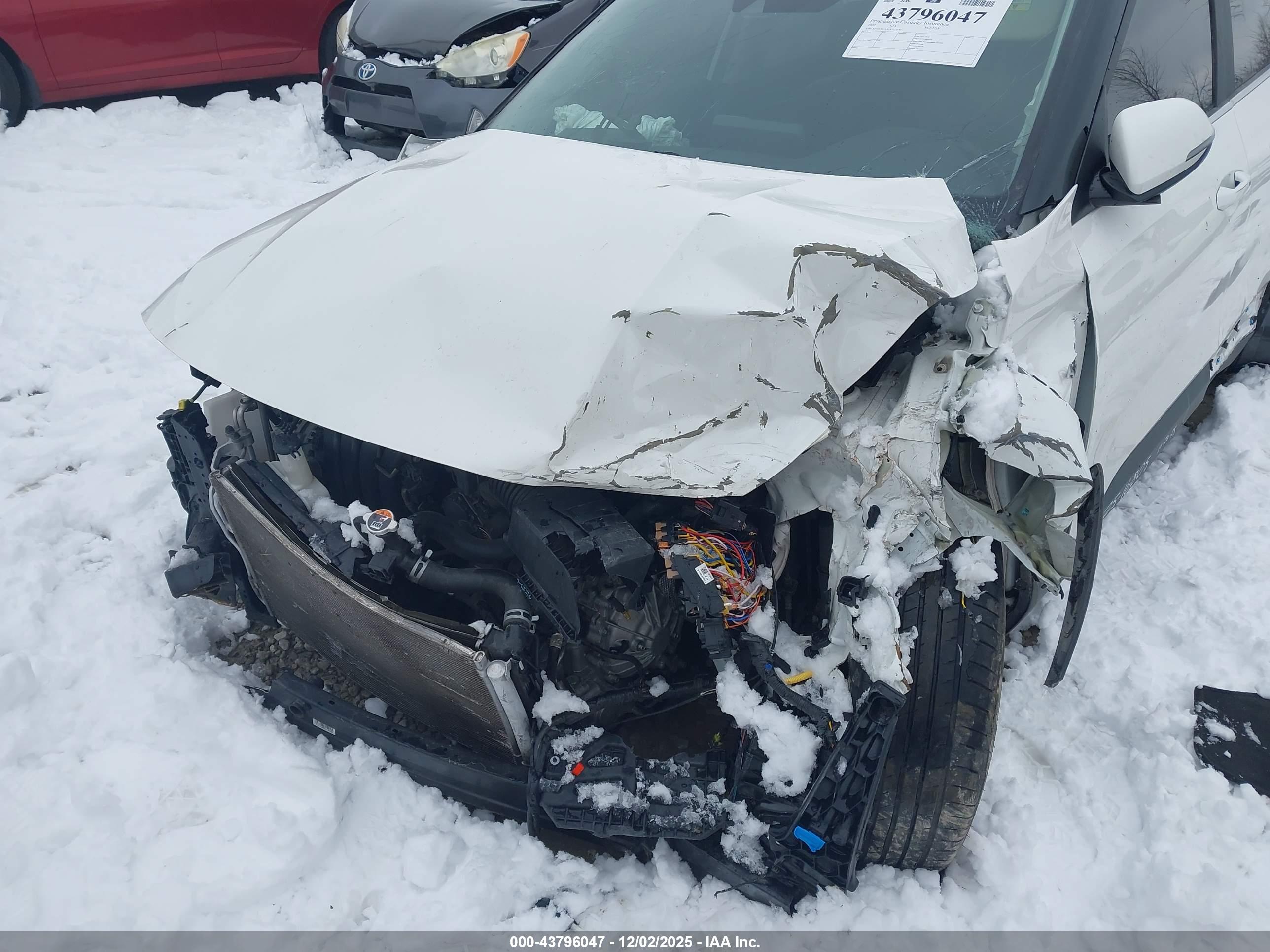 KIA SELTOS image 6