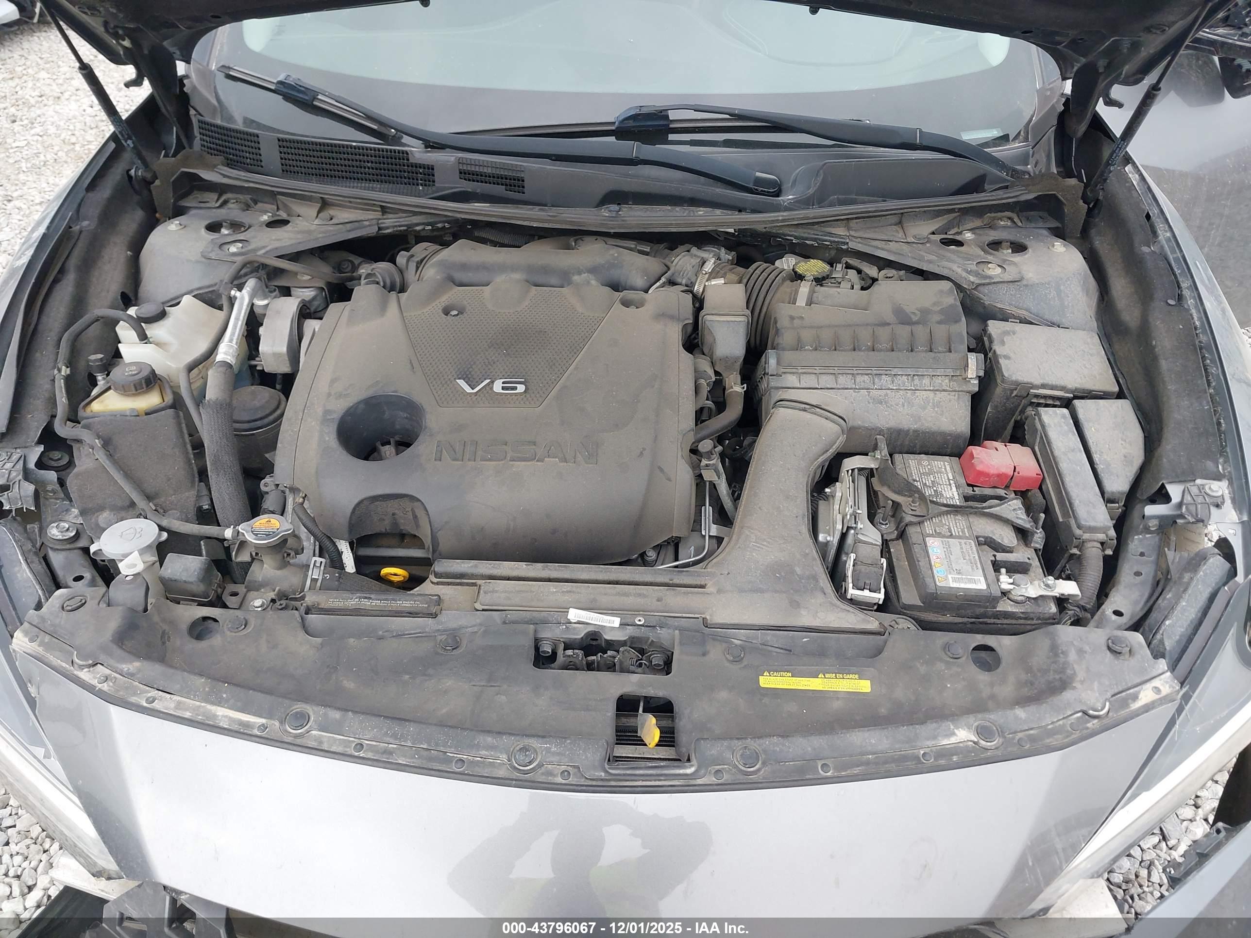 NISSAN MAXIMA image 10