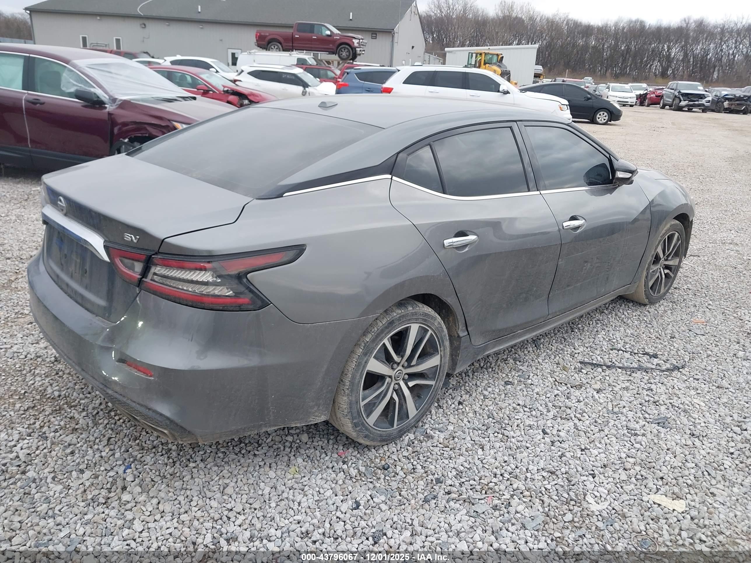 NISSAN MAXIMA image 4