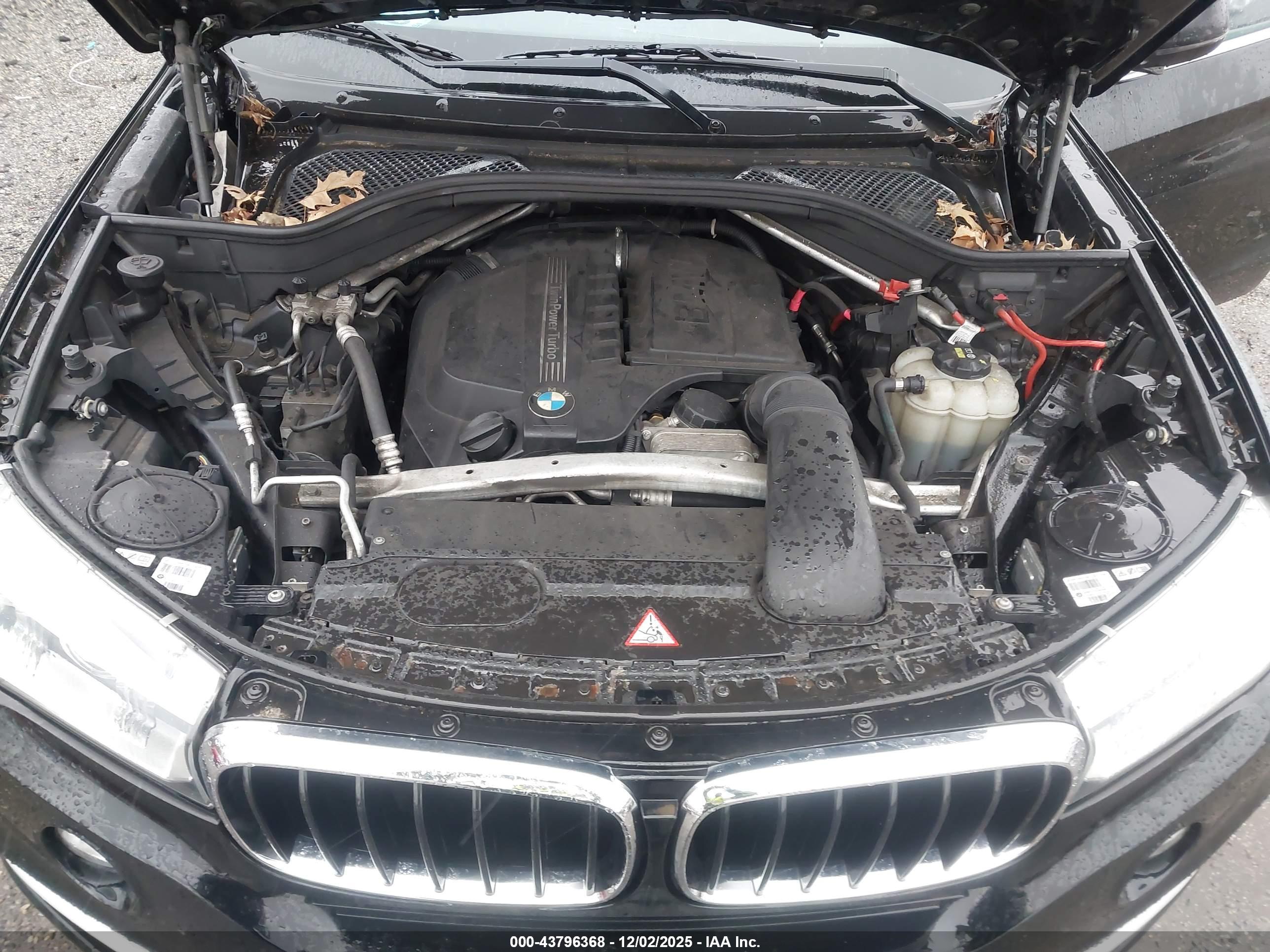 BMW X5 image 10
