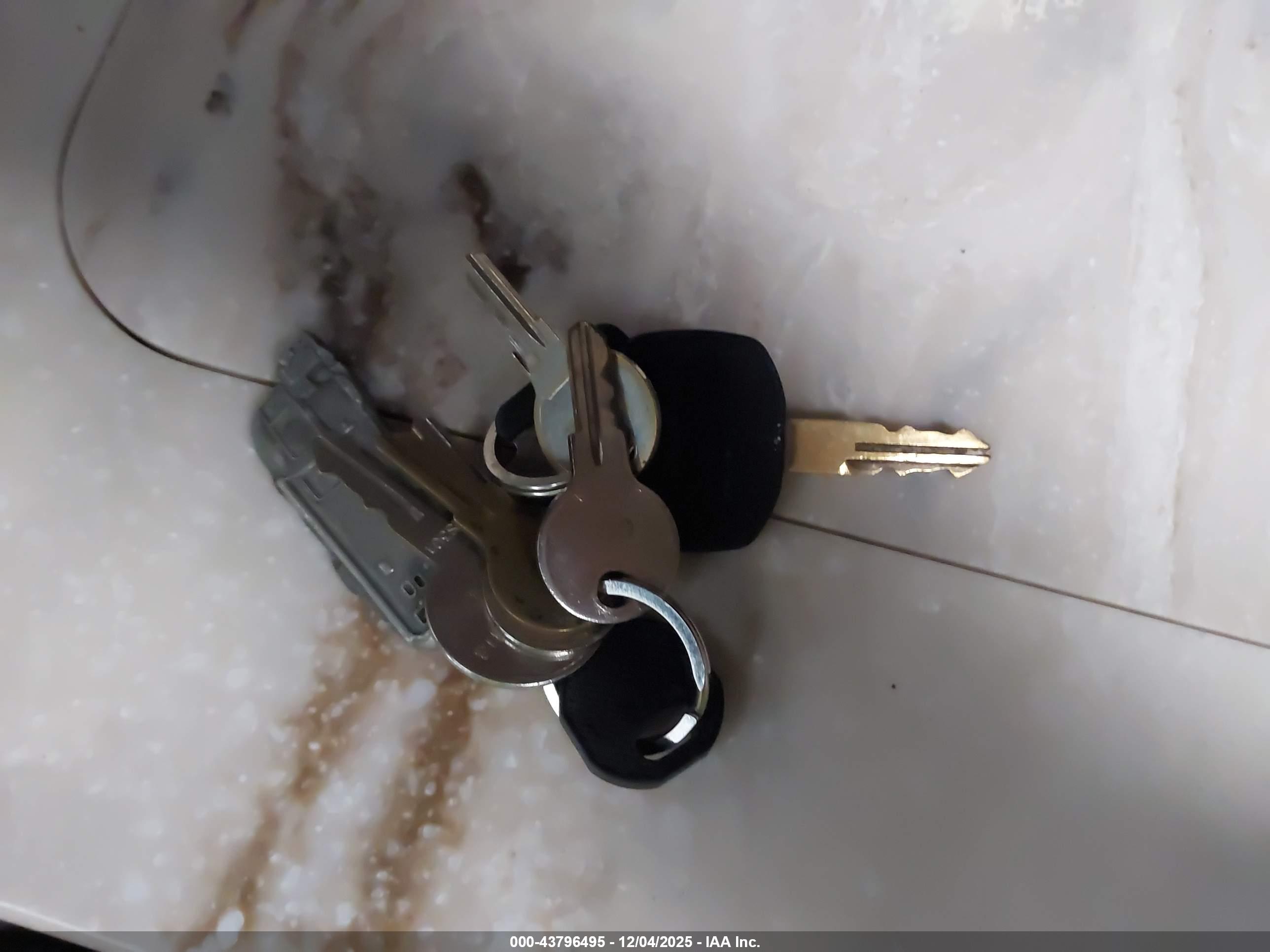 AIRSTREAM 30 image 11