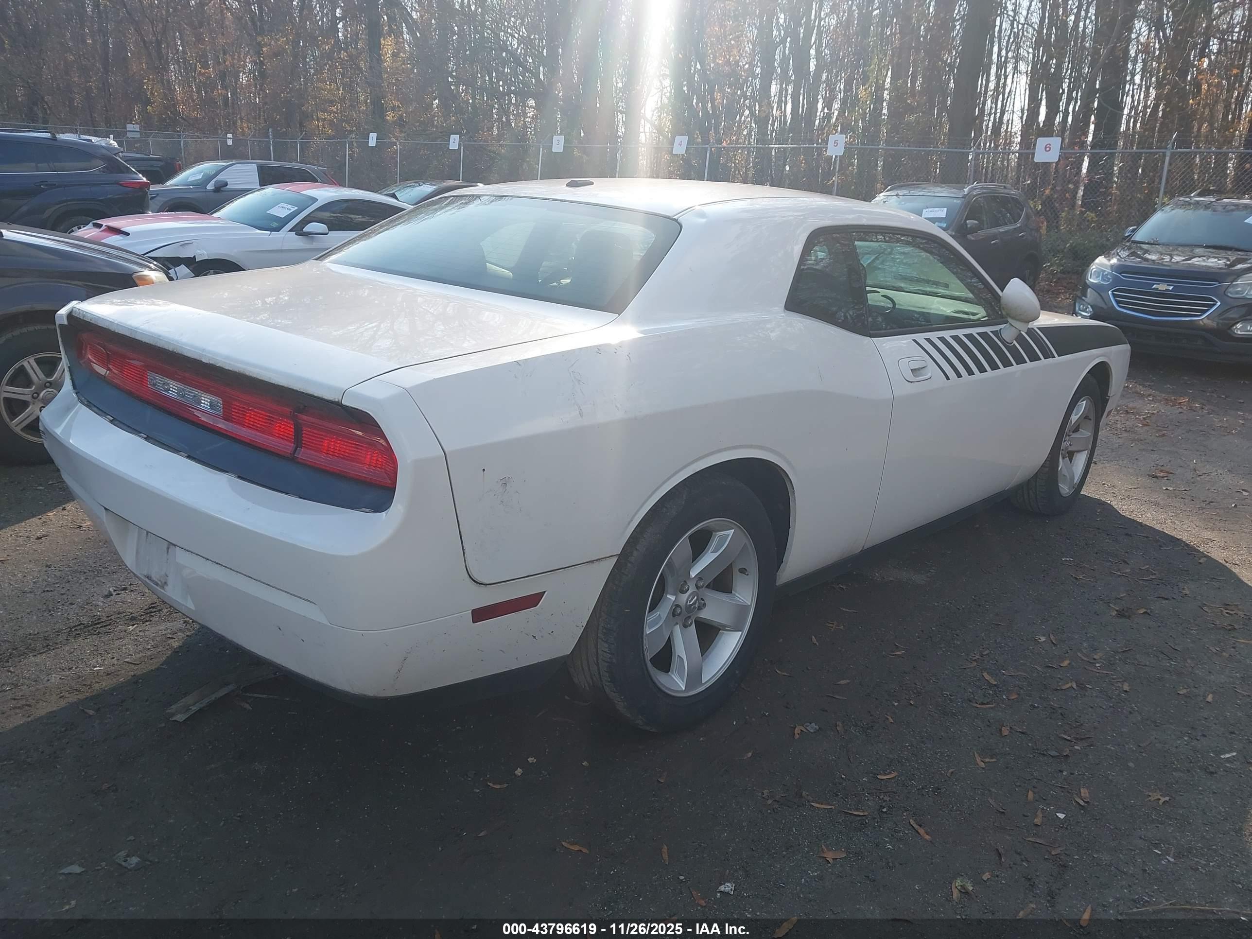 DODGE CHALLENGER image 4