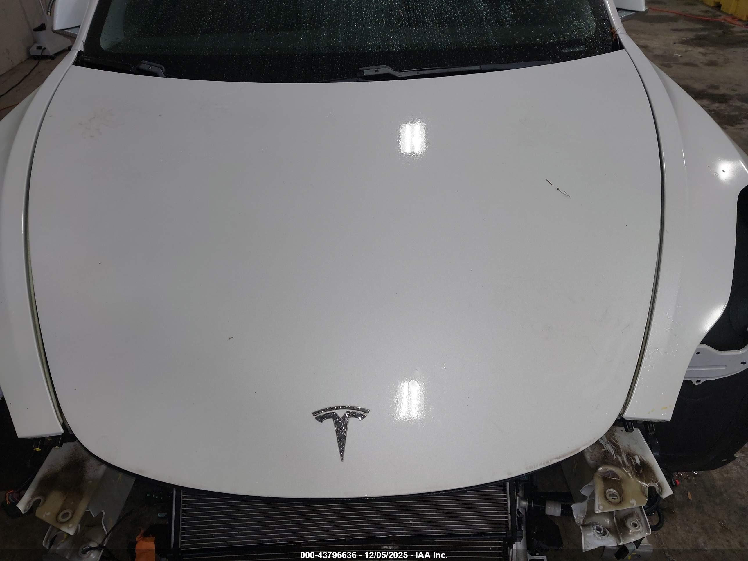 TESLA MODEL image 10