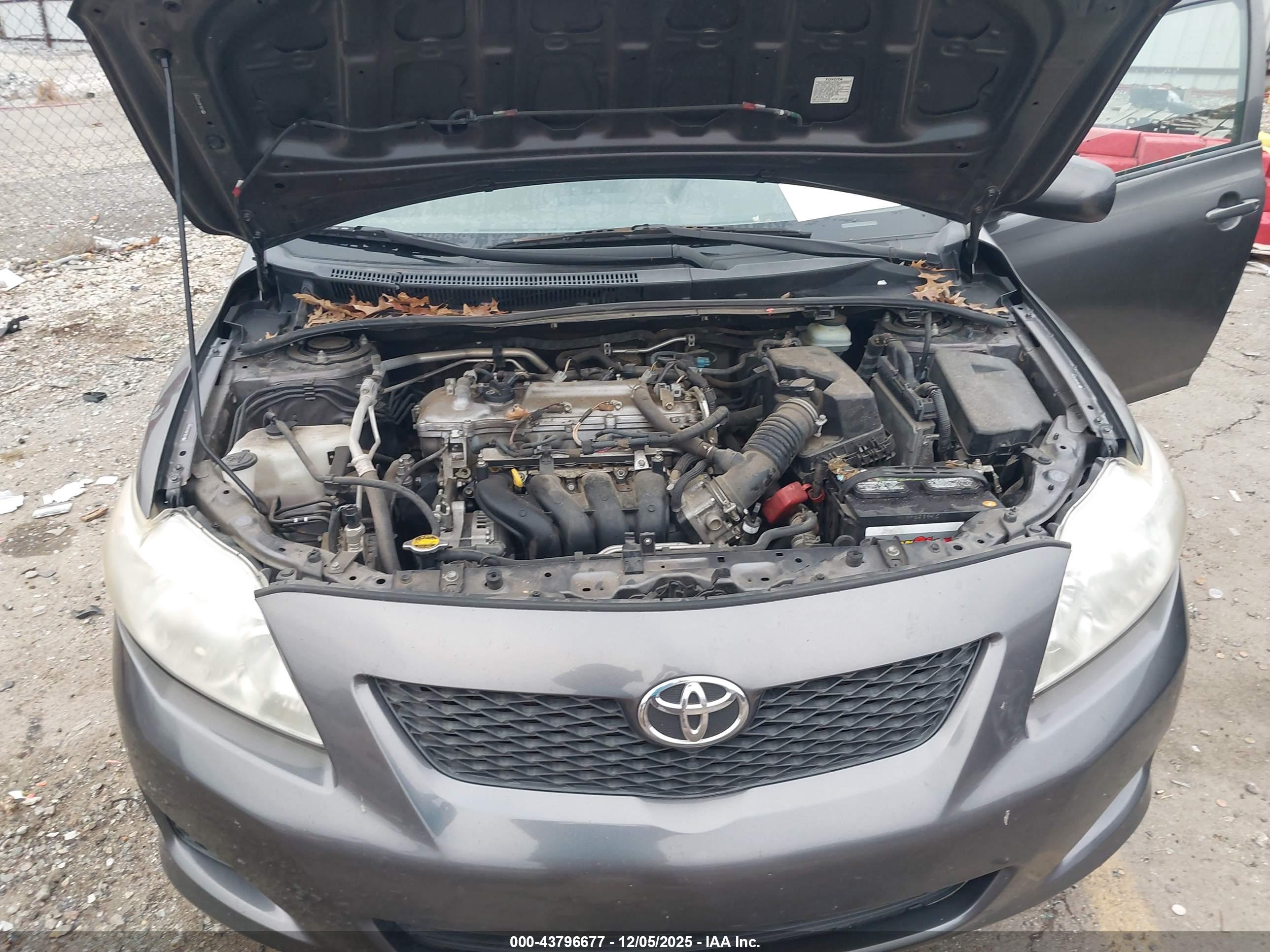 TOYOTA COROLLA image 10
