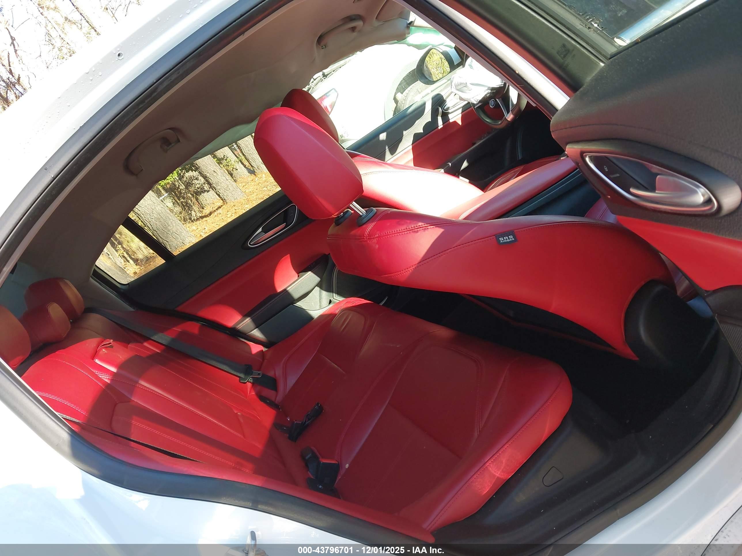 ALFA ROMEO image 8