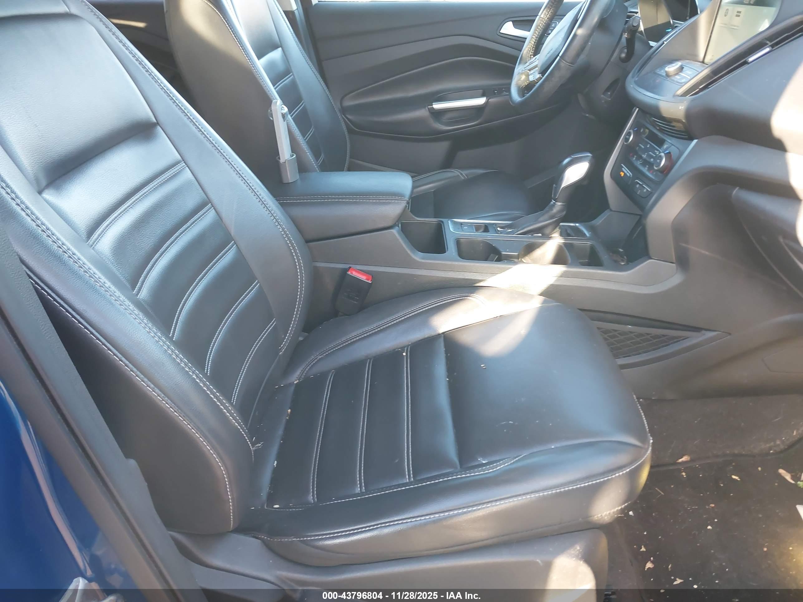 FORD ESCAPE image 5
