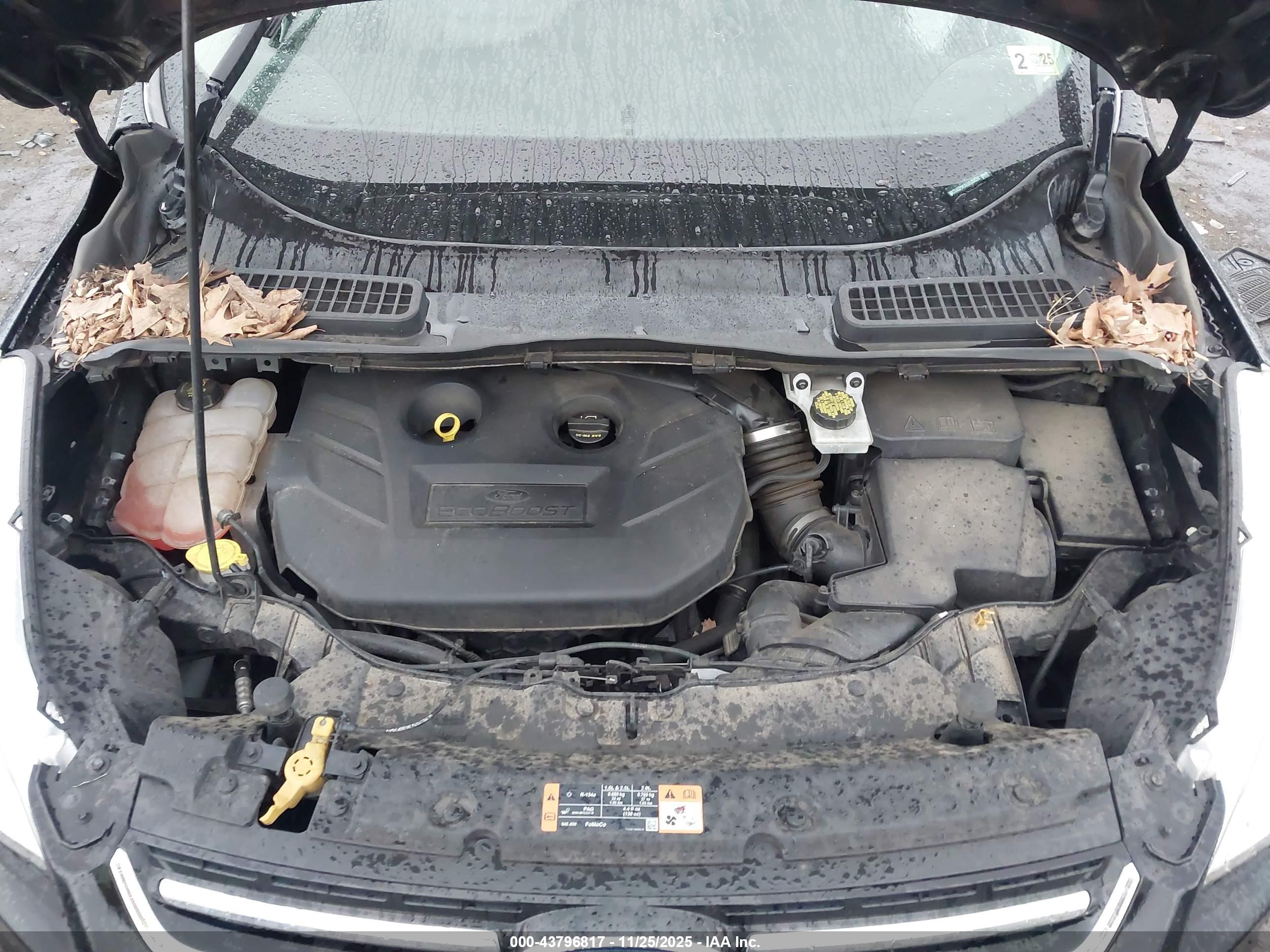 FORD ESCAPE image 10