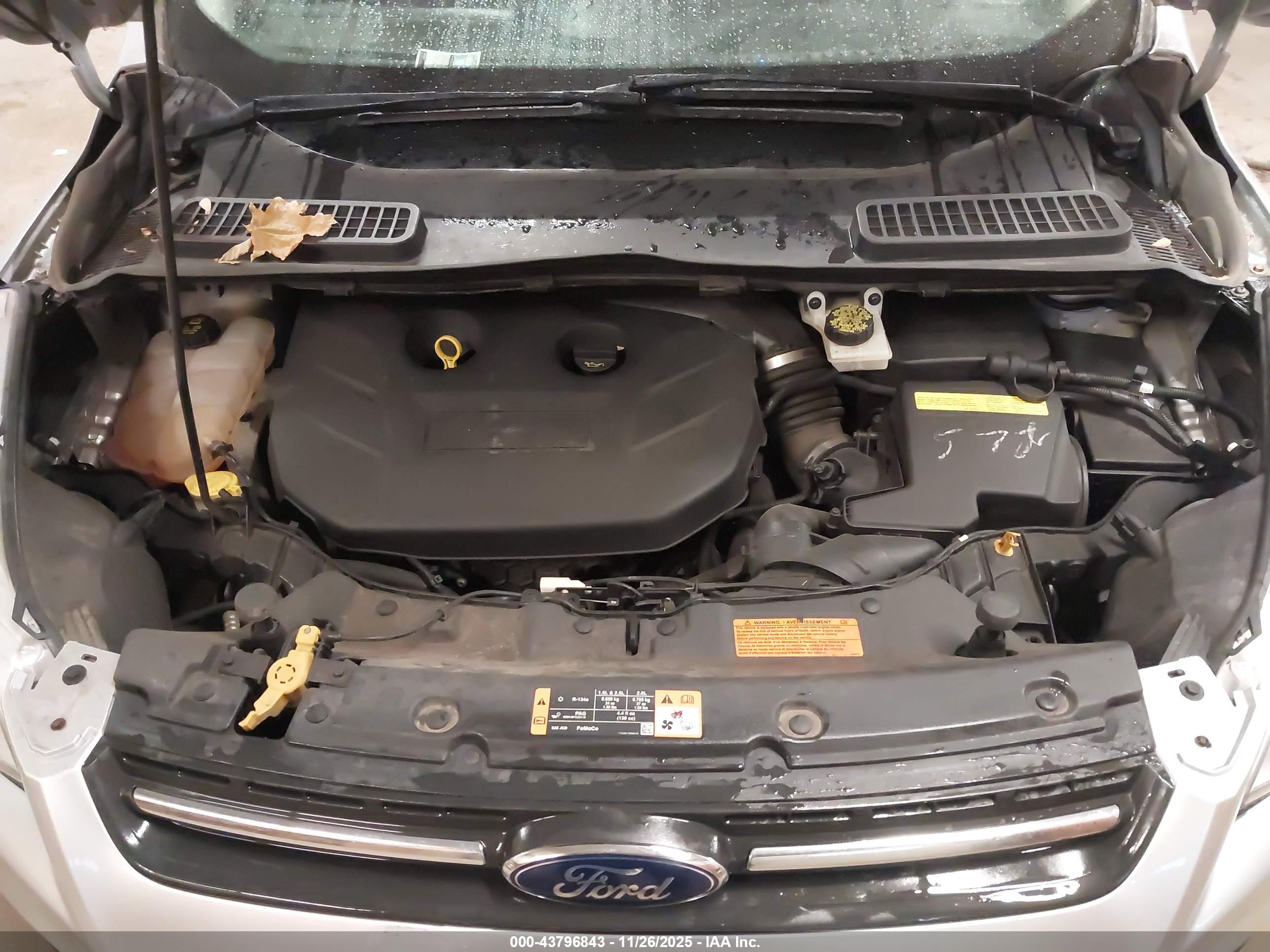 FORD ESCAPE image 10