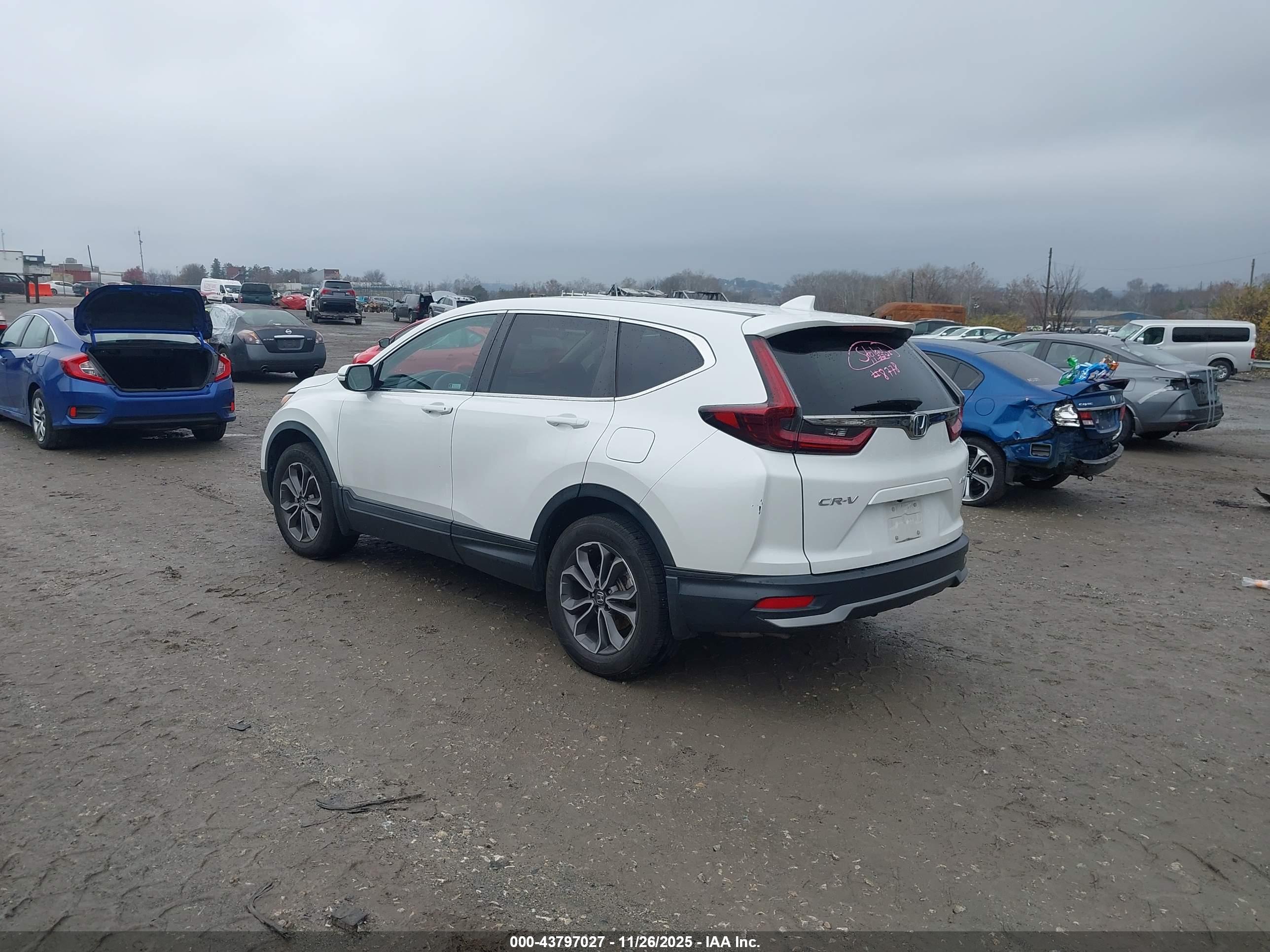 HONDA CR-V image 3