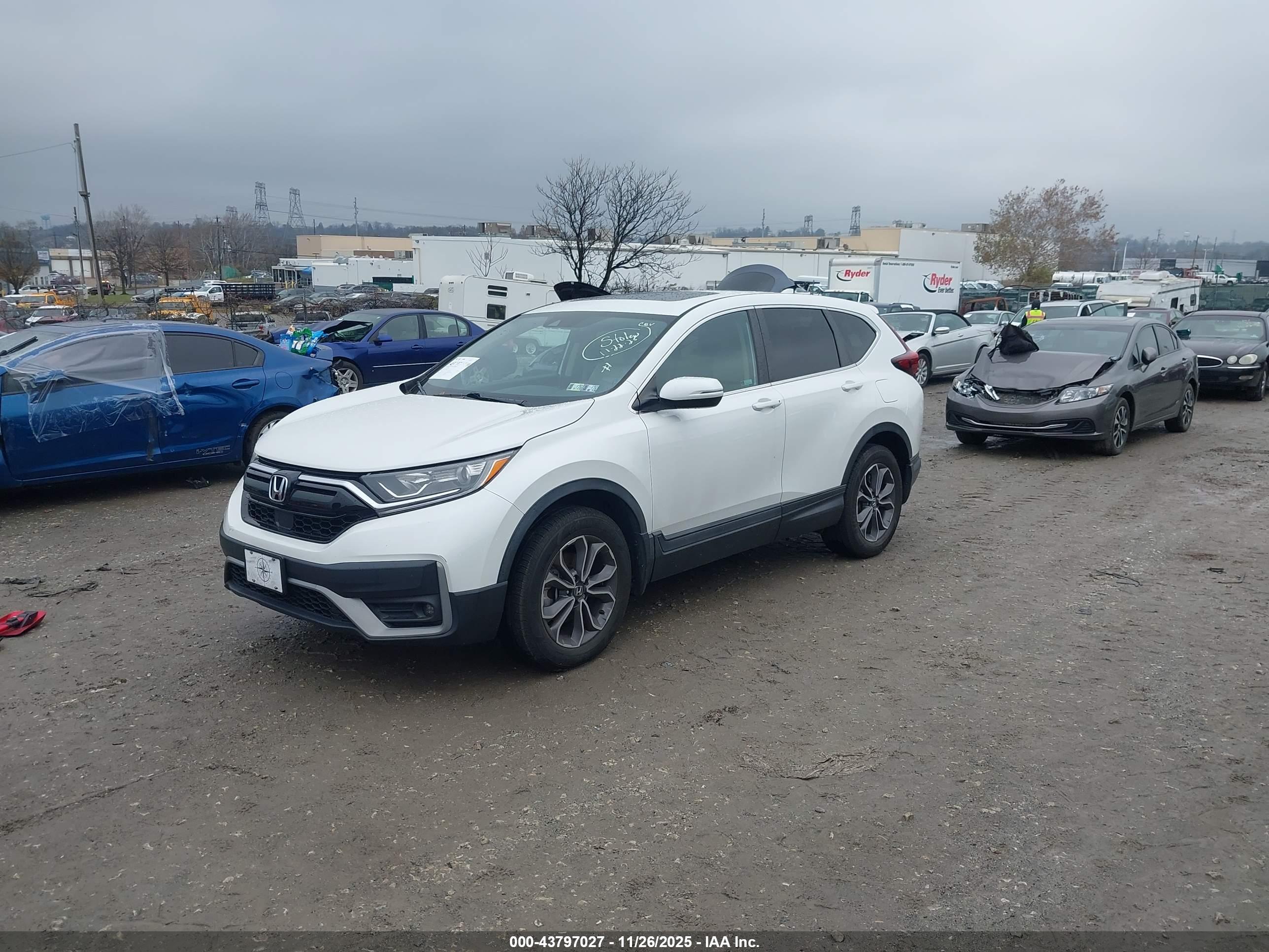 HONDA CR-V image 6