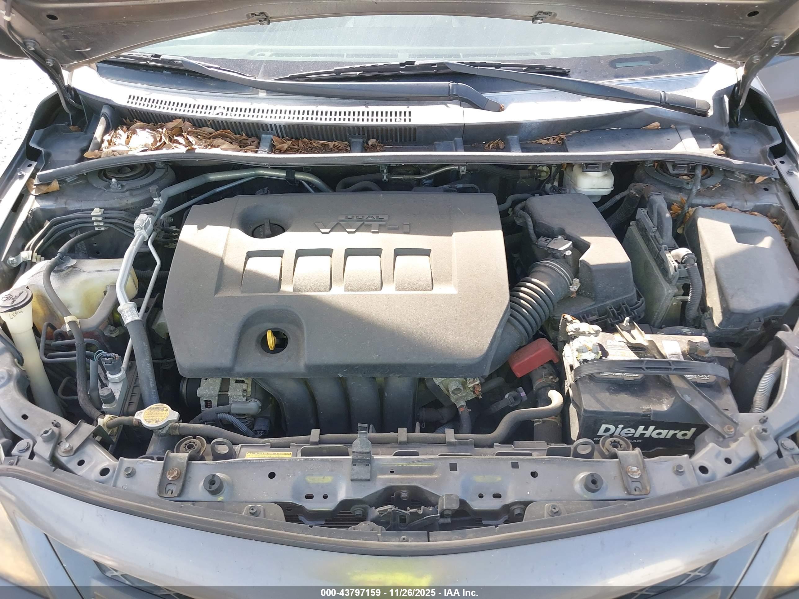 TOYOTA COROLLA image 10