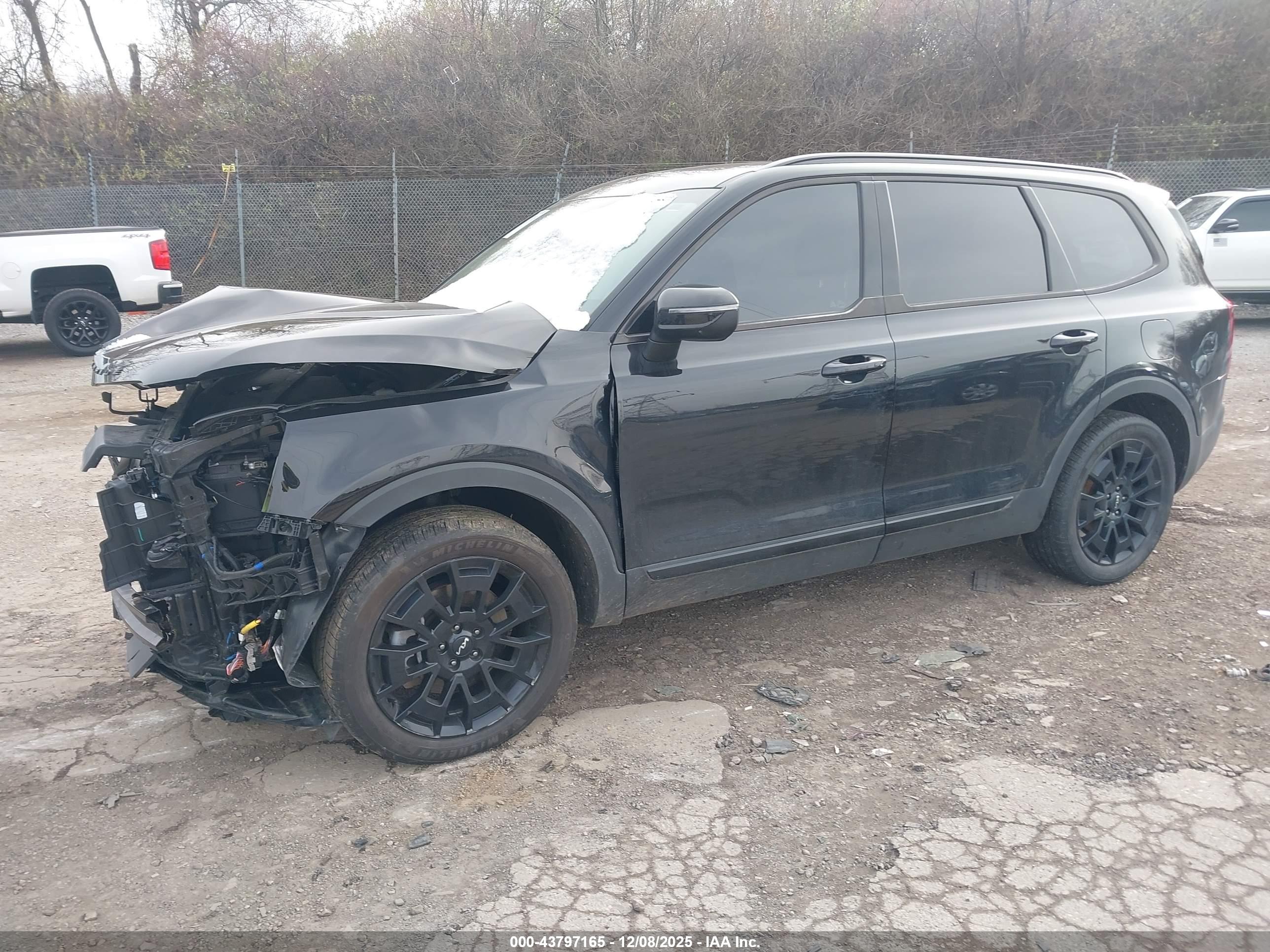 KIA TELLURIDE image 2