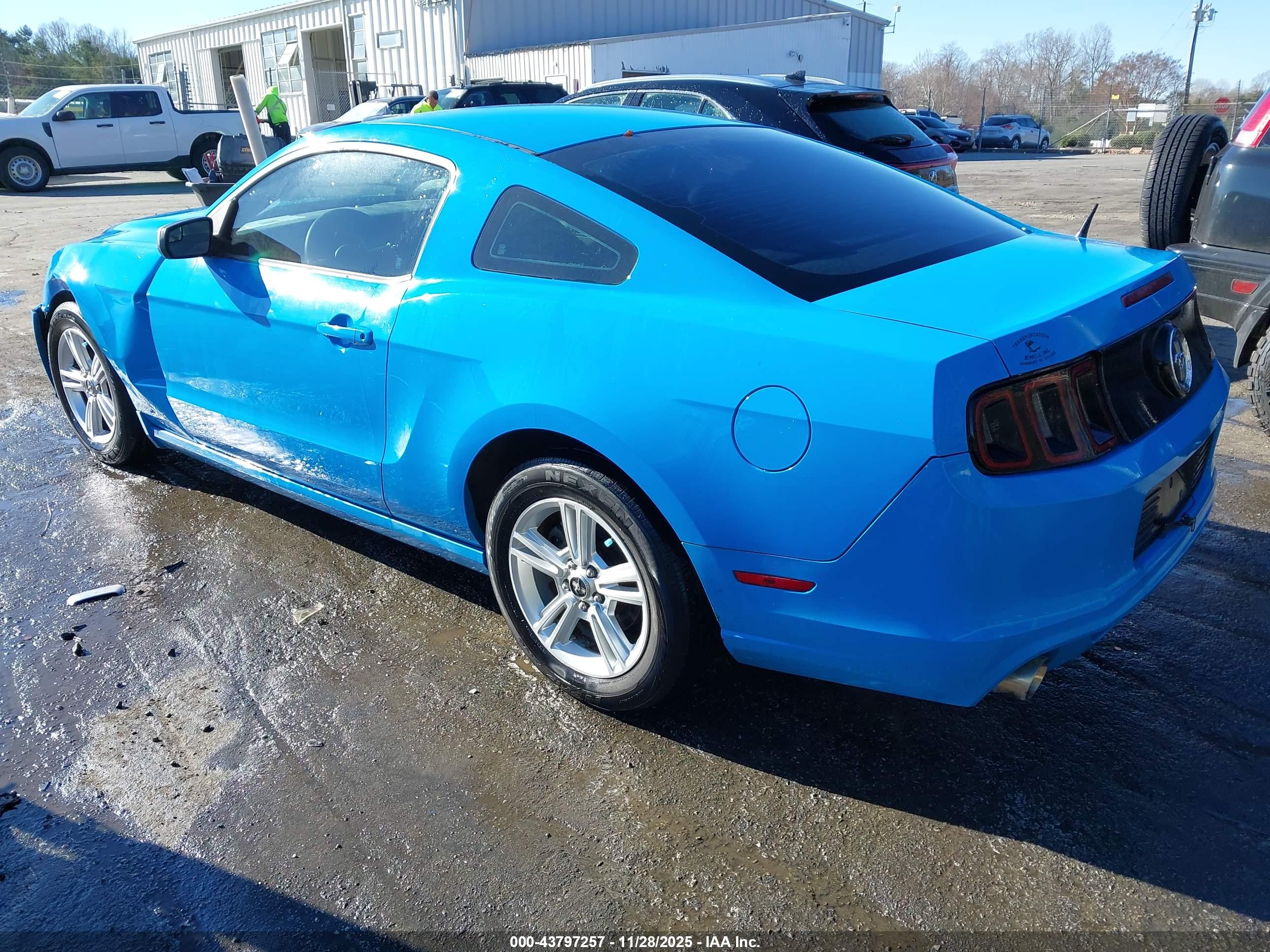 FORD MUSTANG image 3