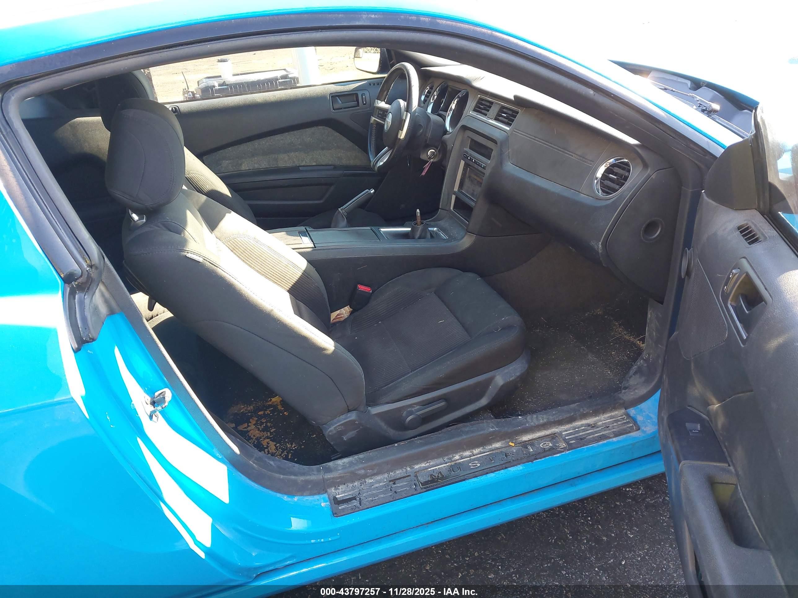 FORD MUSTANG image 5