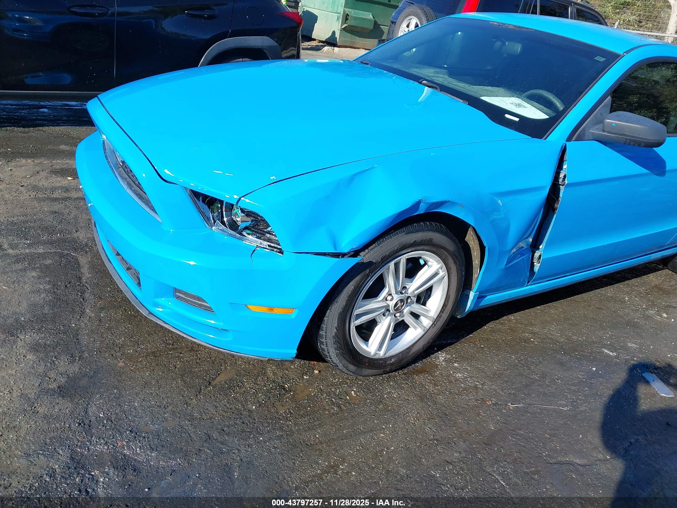 FORD MUSTANG image 6