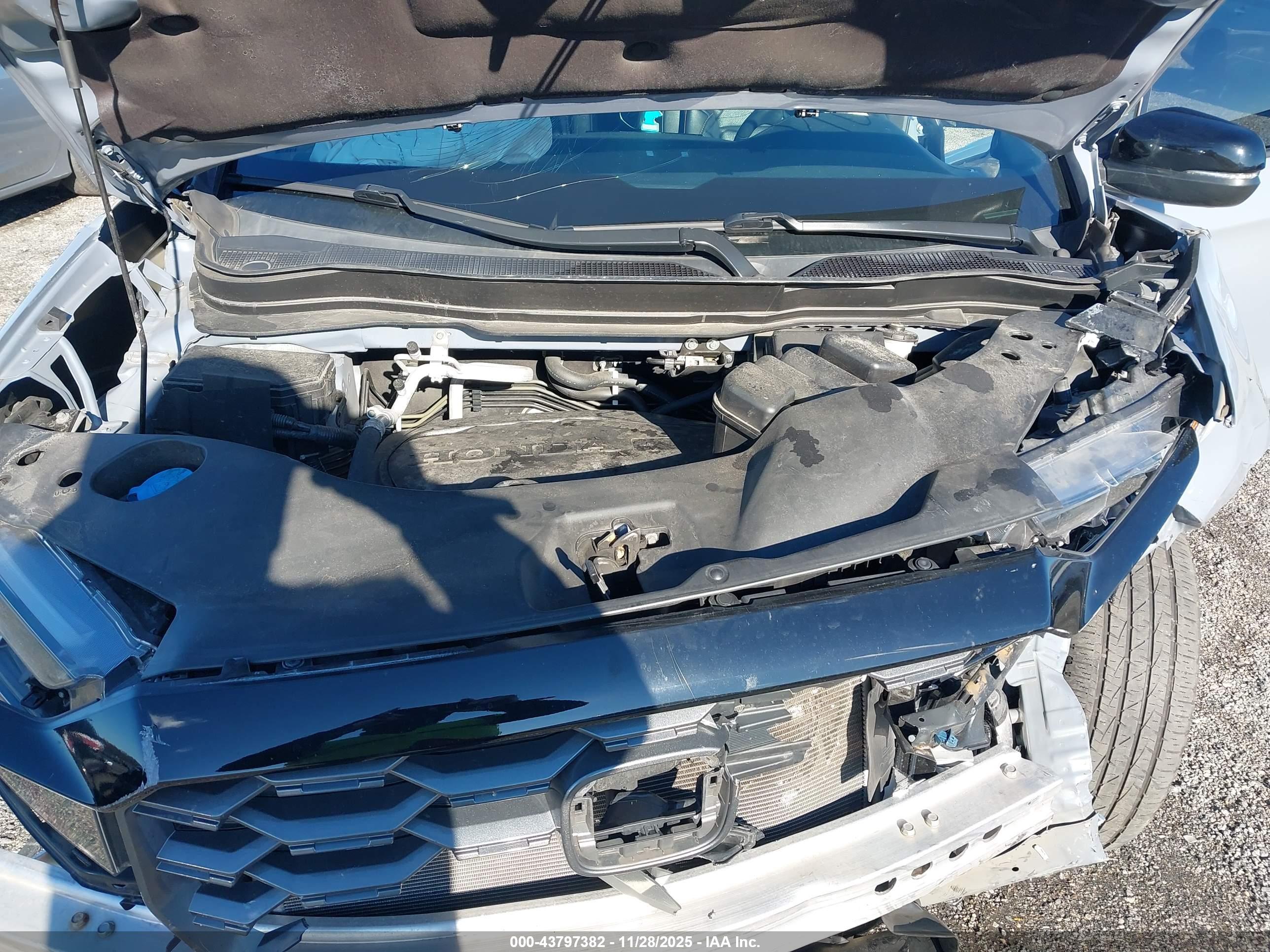 HONDA PASSPORT image 10