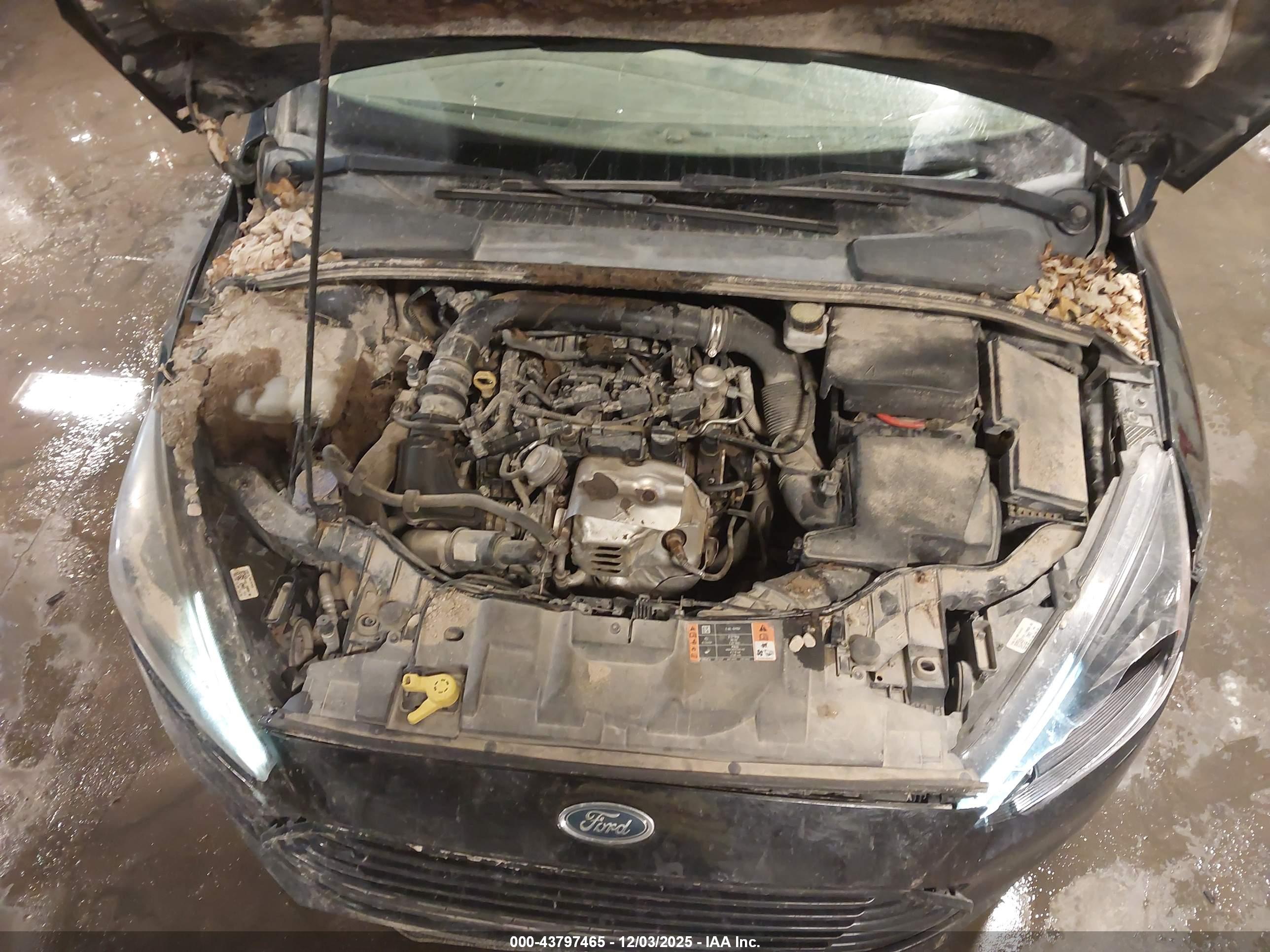 FORD FOCUS image 10