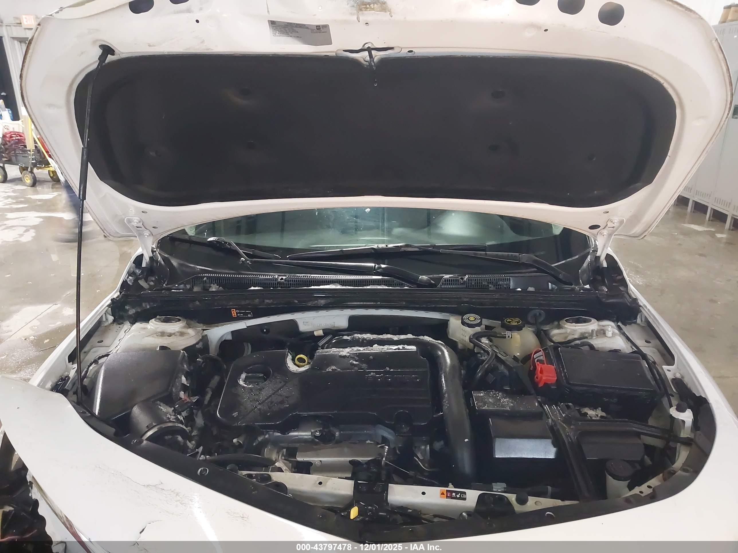 CHEVROLET MALIBU image 10