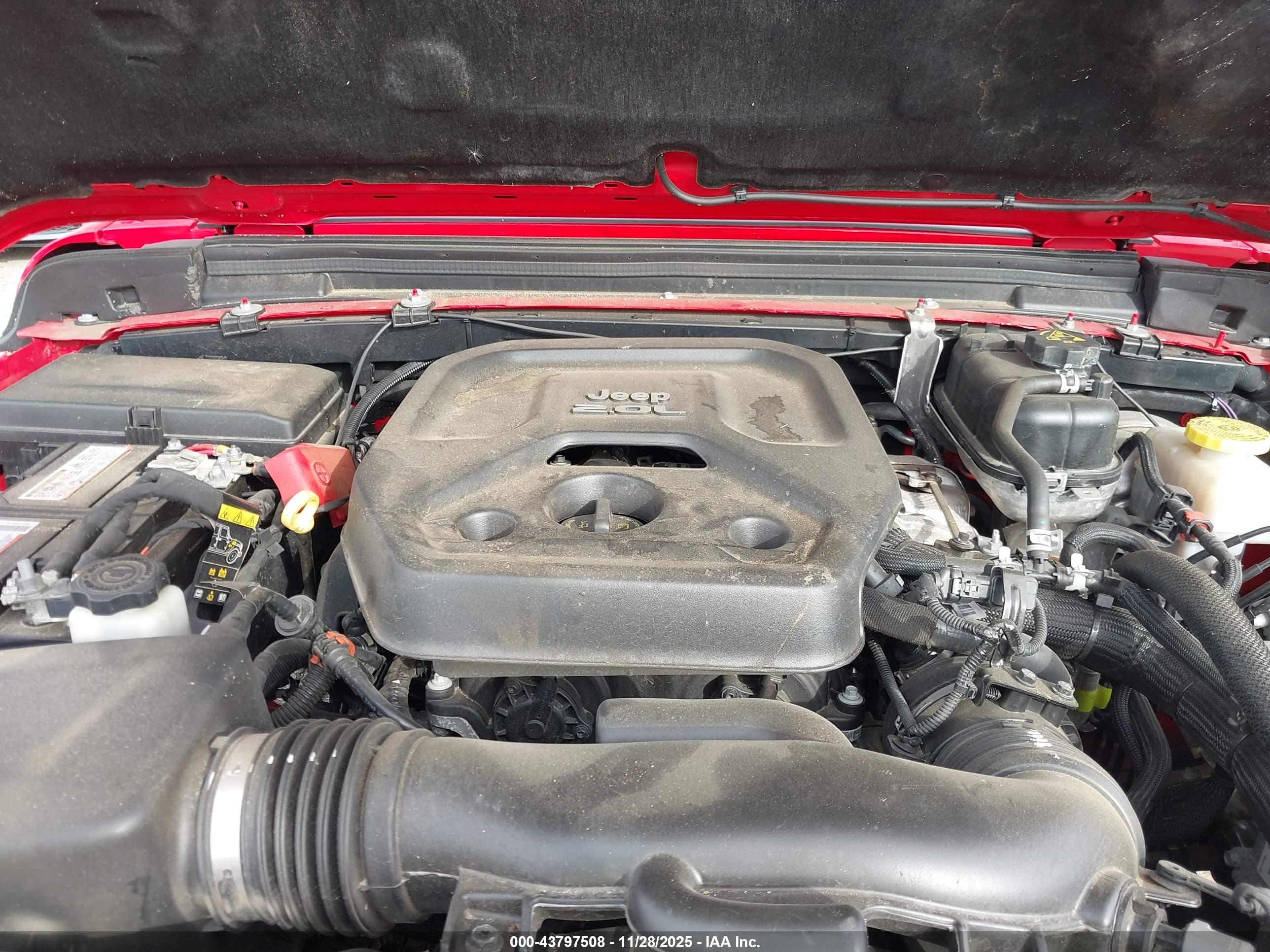 JEEP WRANGLER image 10